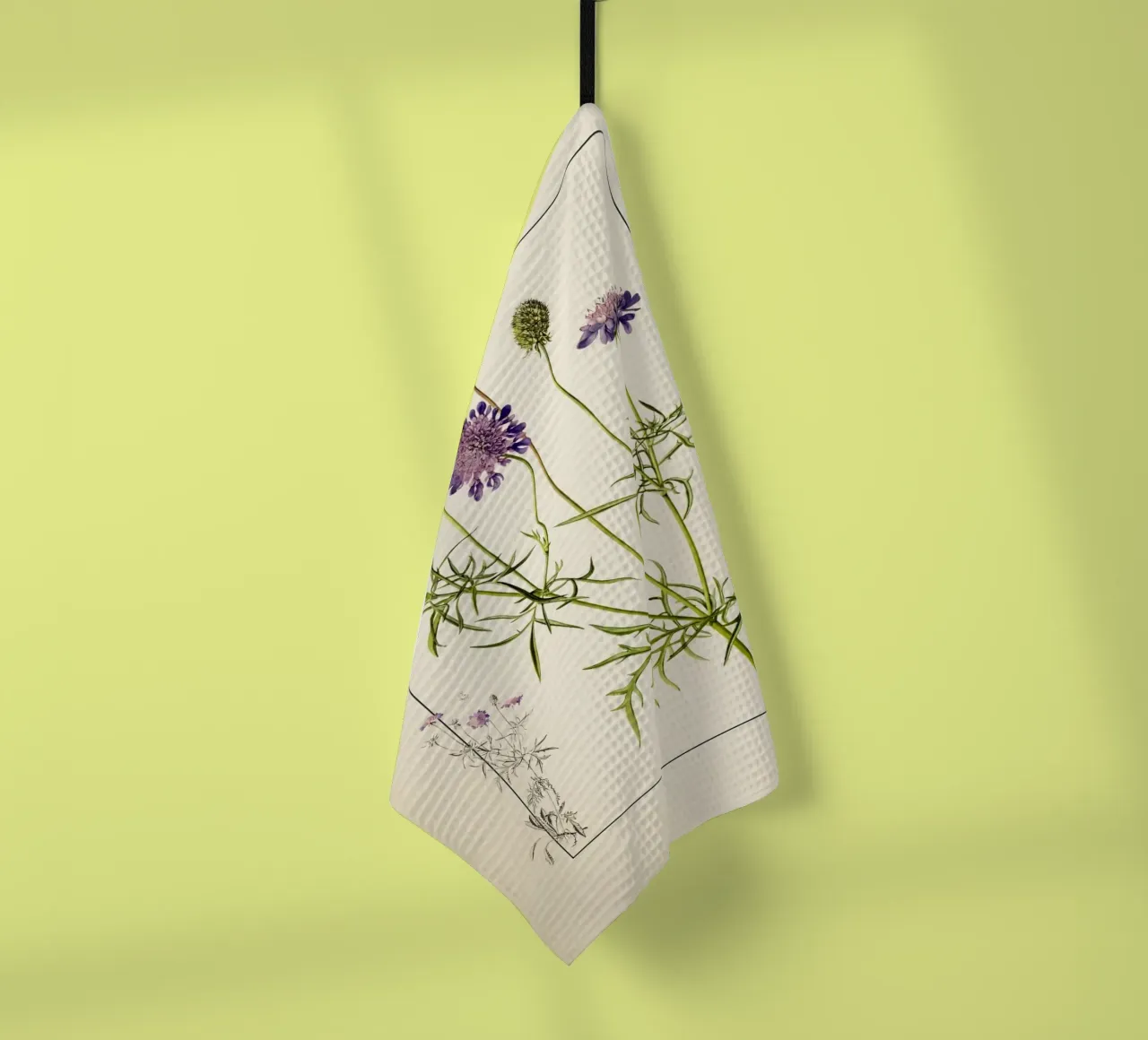 Scabiosa Columbaria Print - Fleur en pelote d'épingles violette vintage torchon de ClubArt