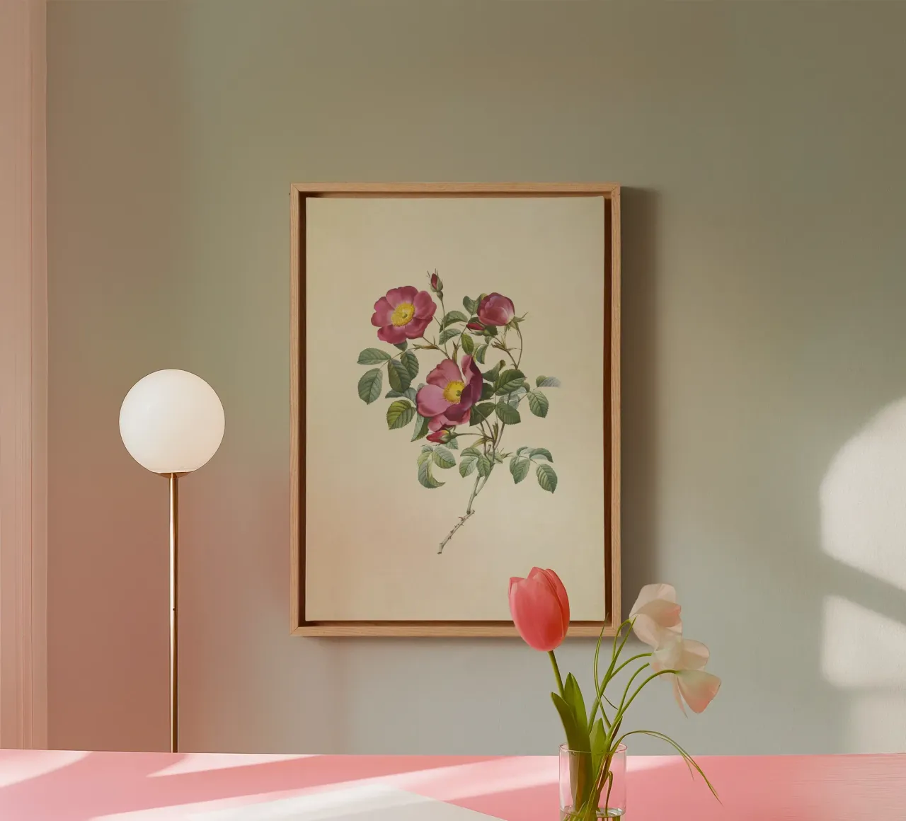 Rosa Pumila Print - Vintage Dwarf Rose Botanical Art canvas with Floater frame by ClubArt