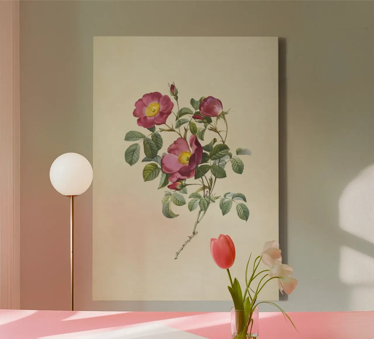 Rosa Pumila Print - Vintage Dwarf Rose Botanical Art canvas with Floater frame by ClubArt