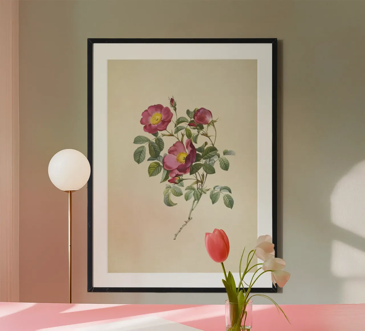 Rosa Pumila Print - Vintage Dwarf Rose Botanical Art poster by ClubArt