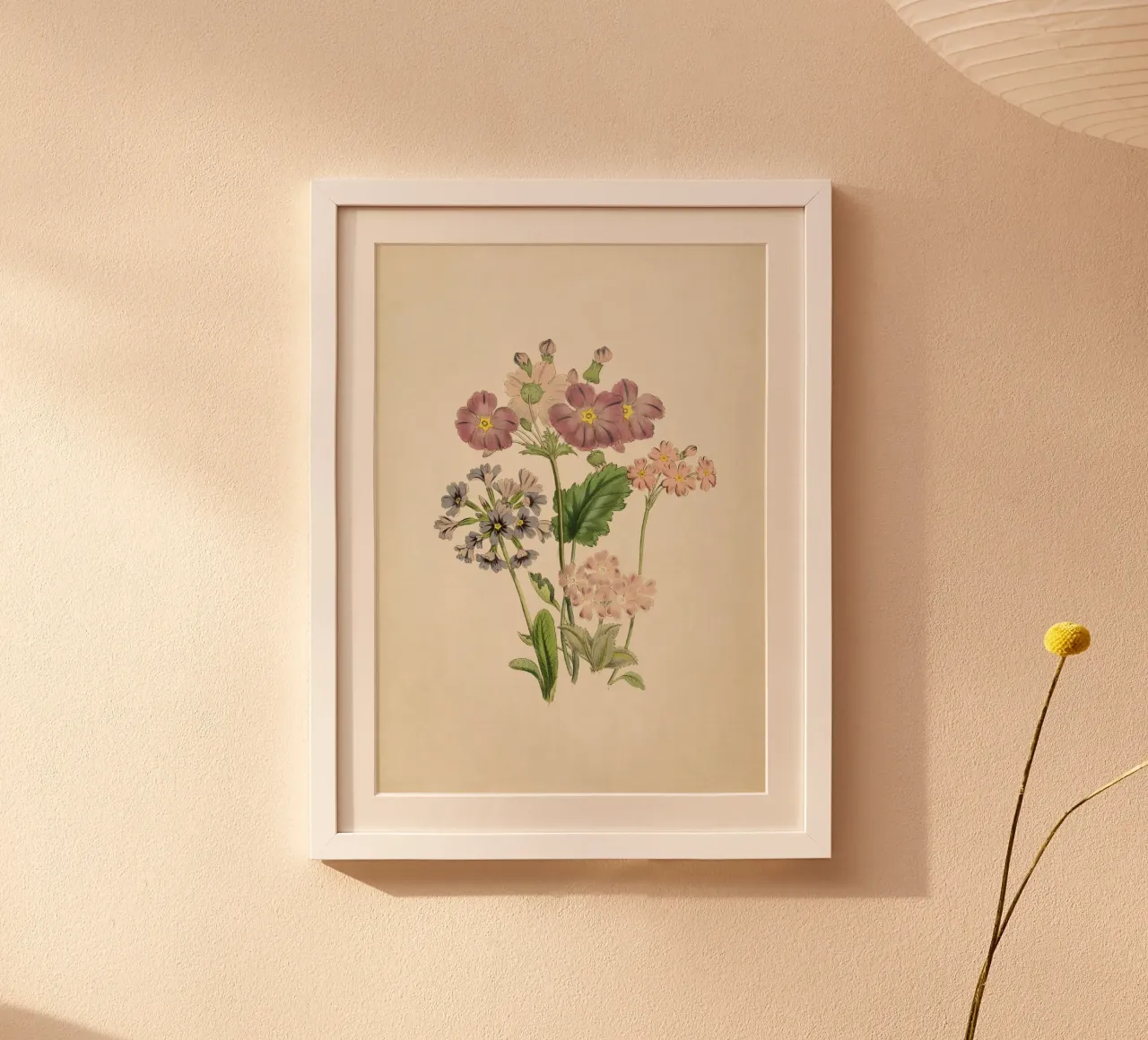 Jane Loudon Primula Print - Vintage Botanische Bloemsierkunst poster van ClubArt