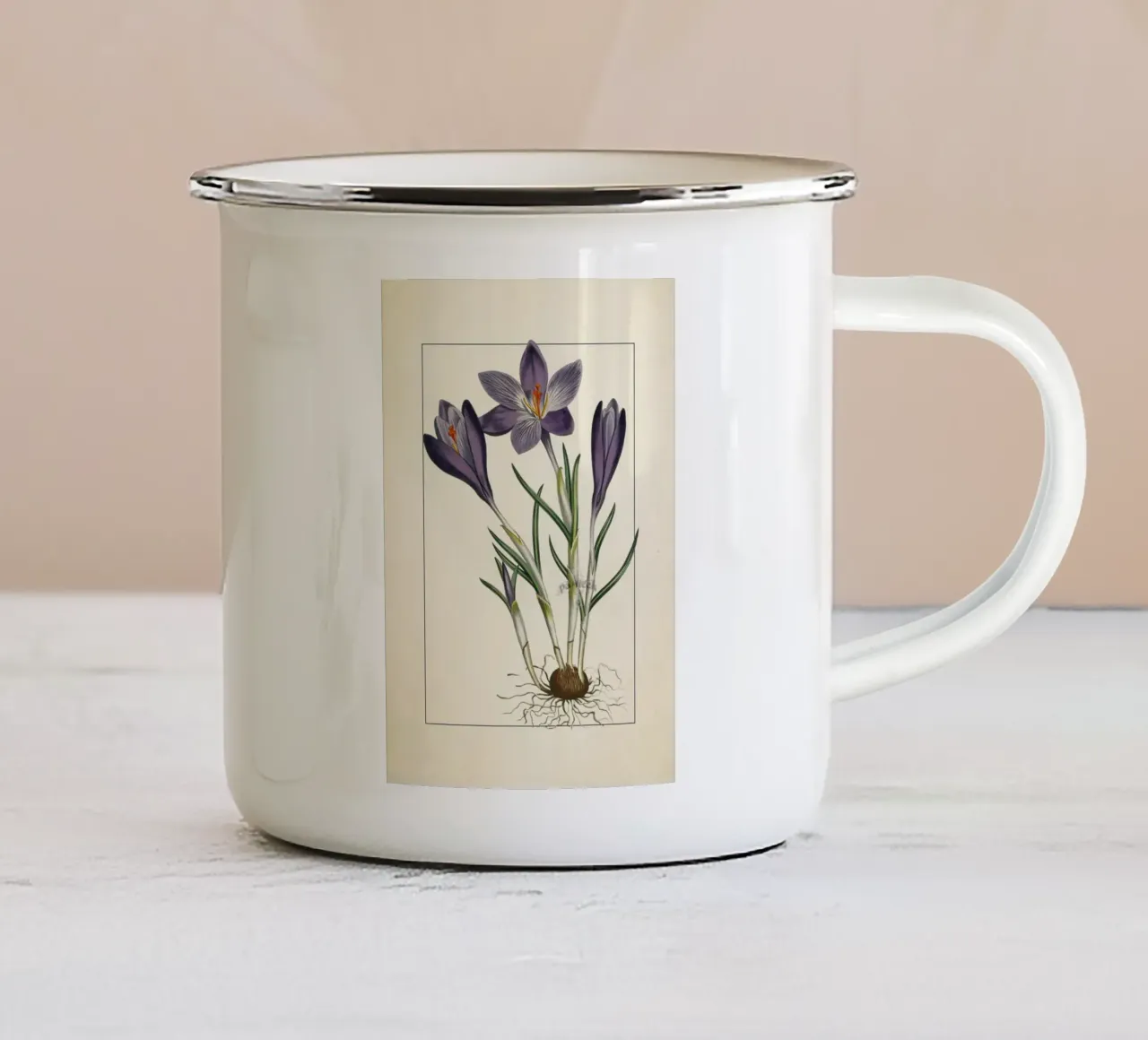 Curtis Botanical 1805 Purple Crocus - Primavera floreale vintage tazza in smalto da ClubArt