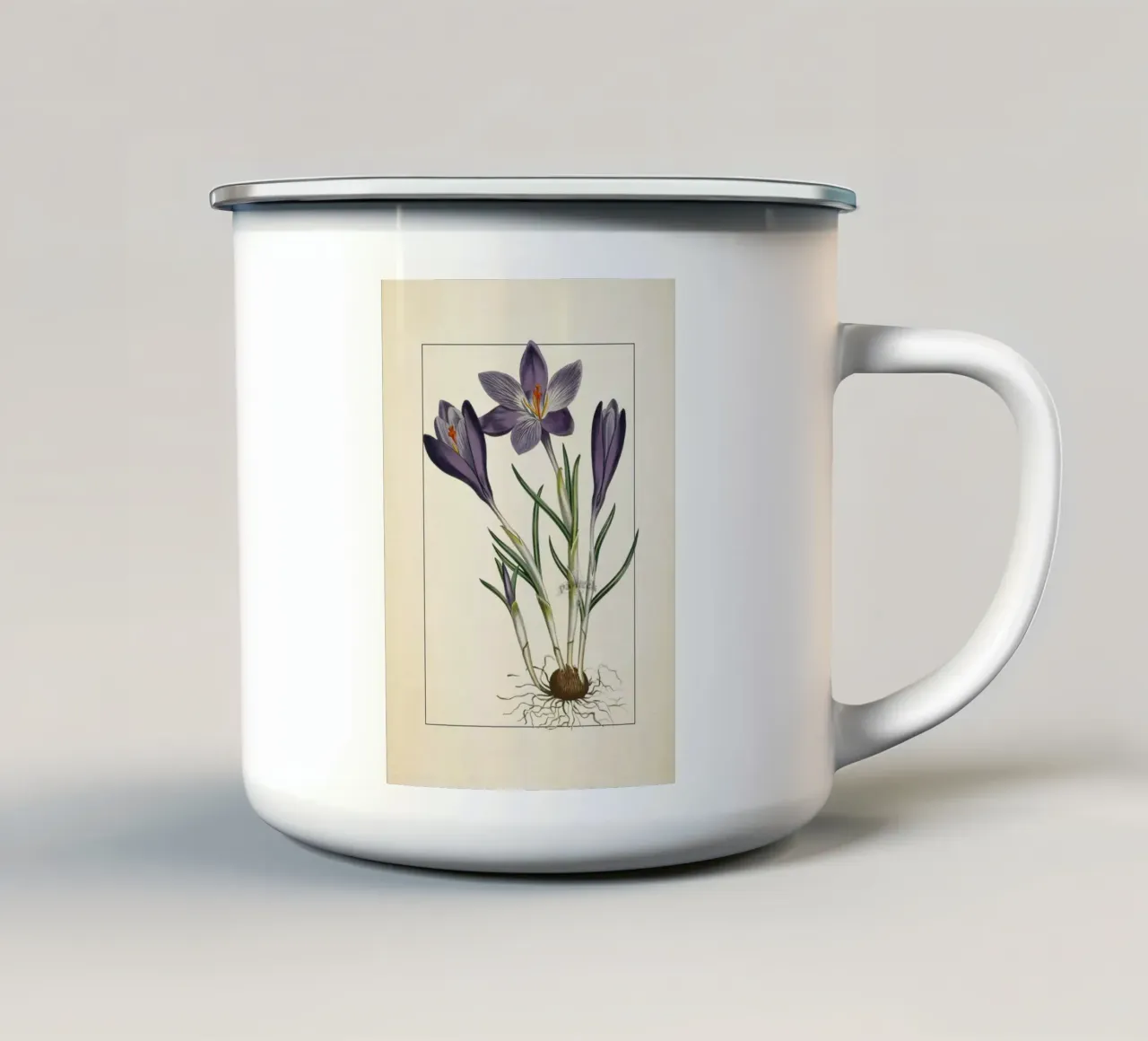 Curtis Botanical 1805 Purple Crocus - Primavera floreale vintage tazza in smalto da ClubArt