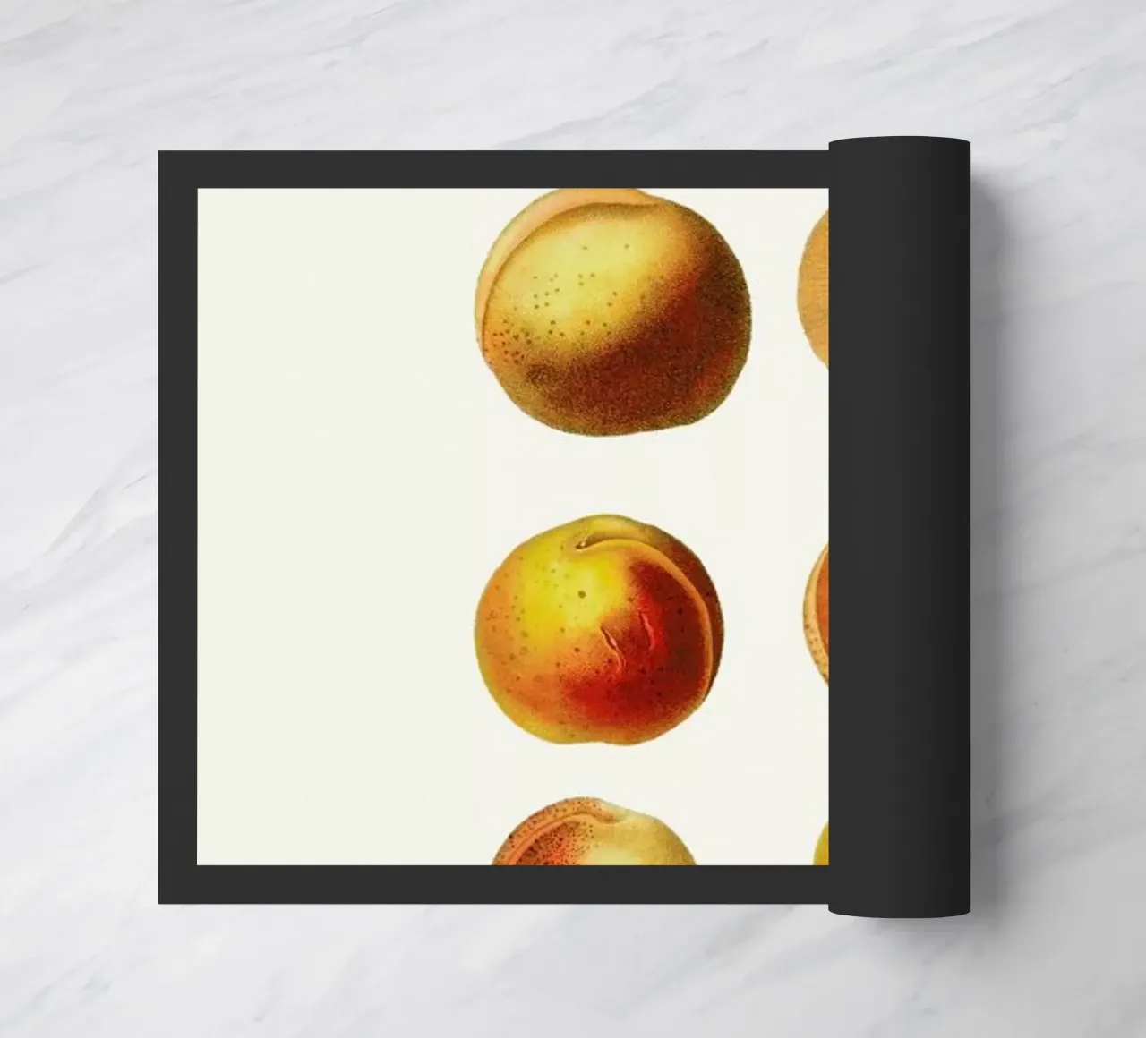 Peaches zerbino da Flora & Fauna