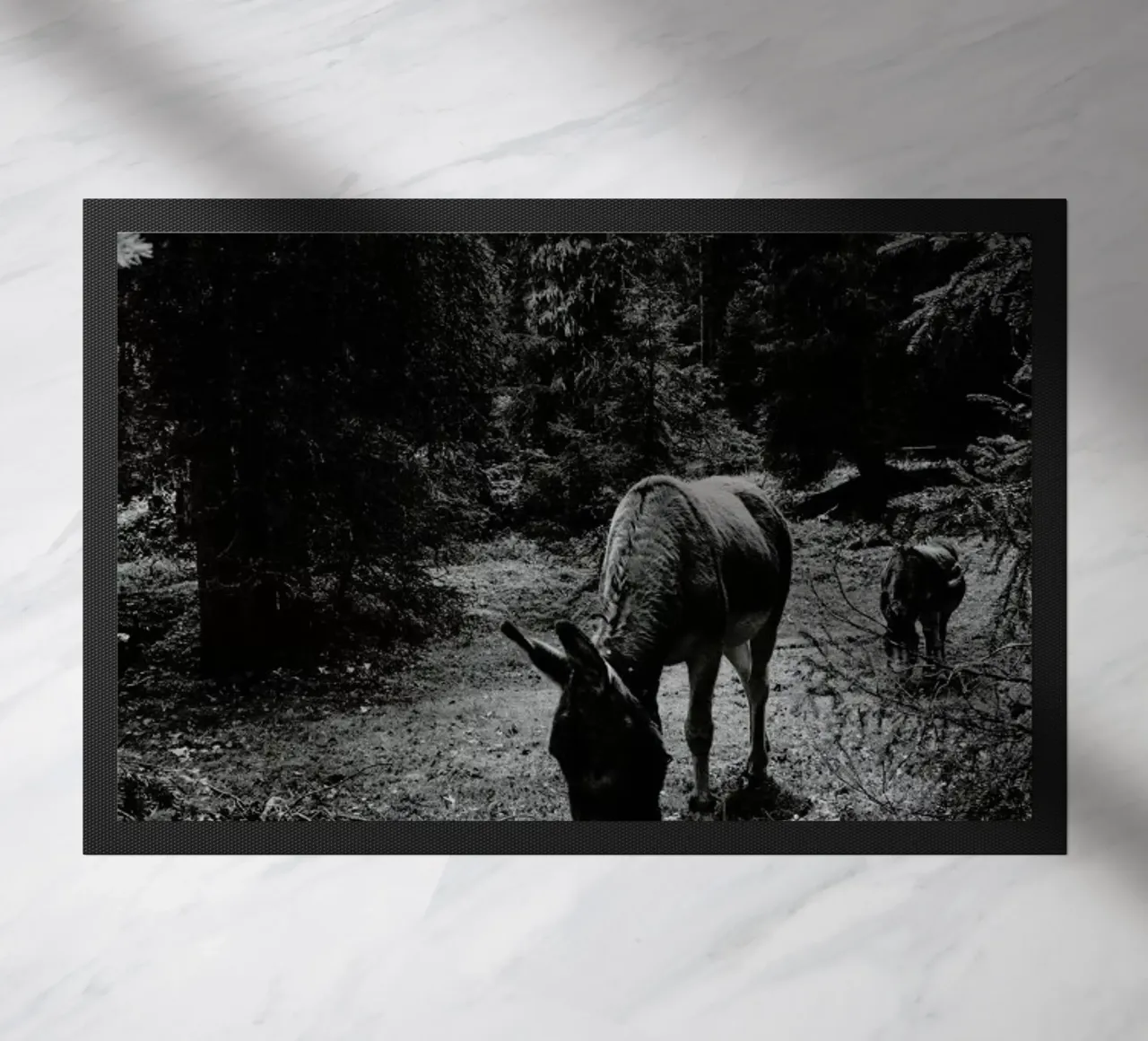 Friends zerbino da Sebastian Hilgetag