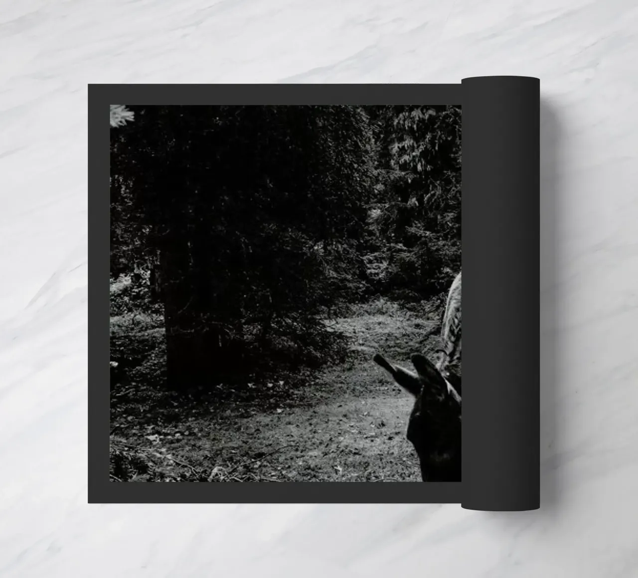 Friends zerbino da Sebastian Hilgetag