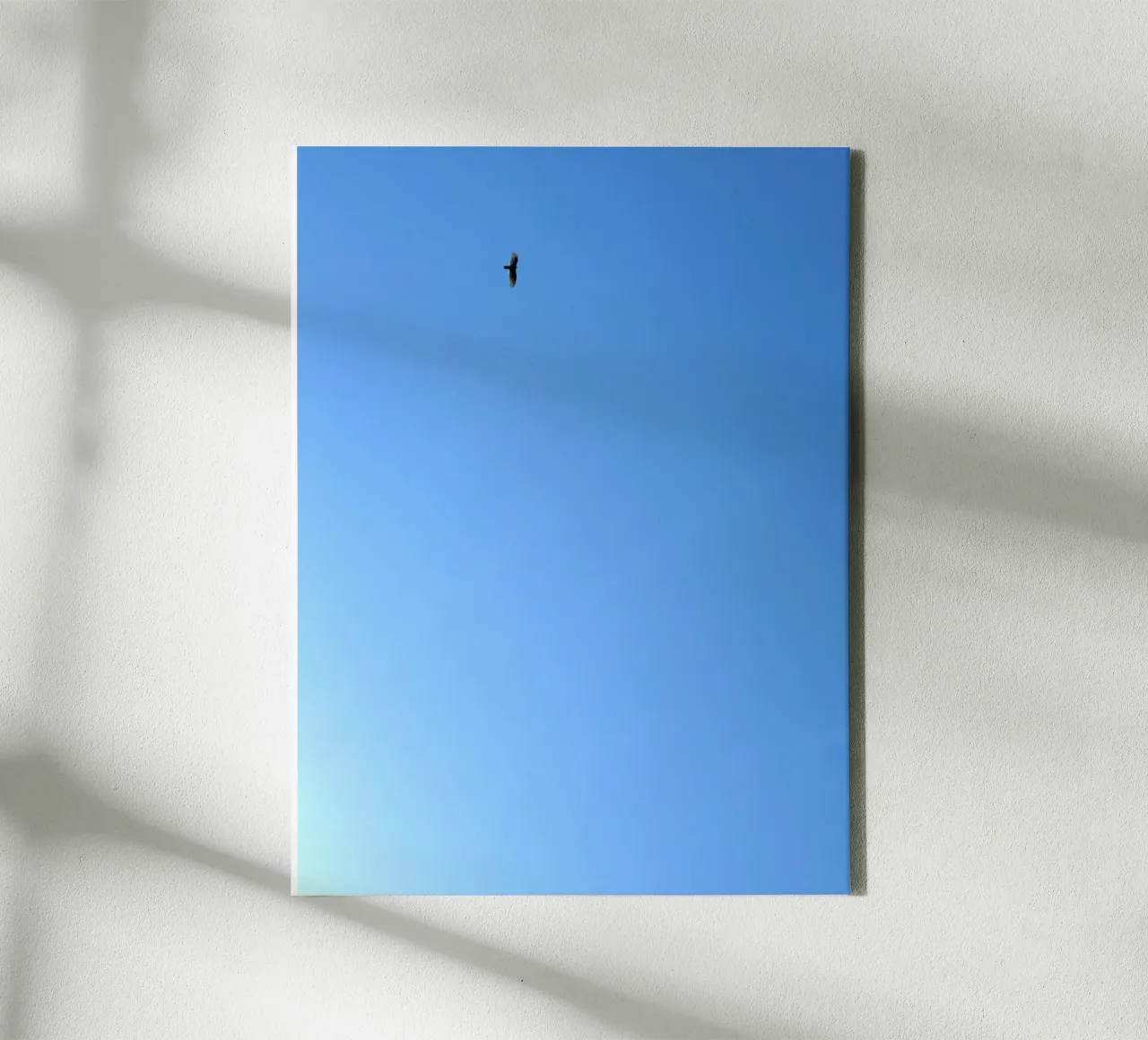 solitude flight canvas by Bleu