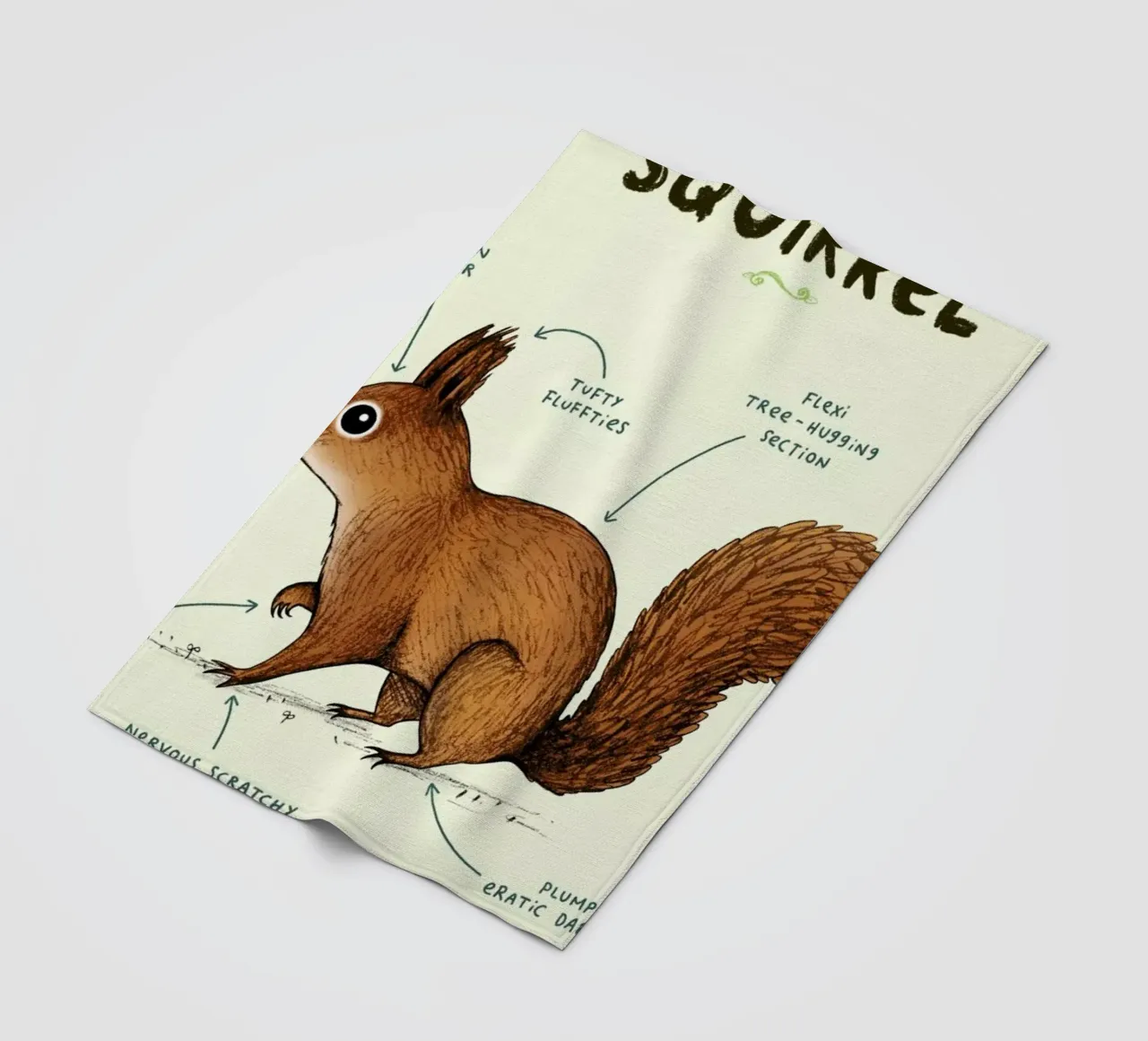 Anatomy Of A Squirrel coperta in pile da Sophie Corrigan