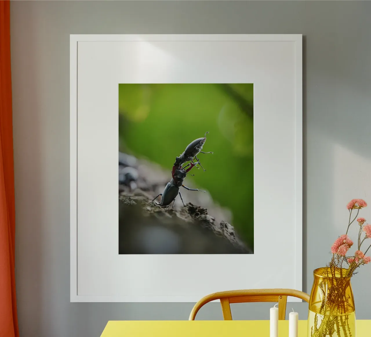 Hirschkäfer Poster von Tom's Wildlife