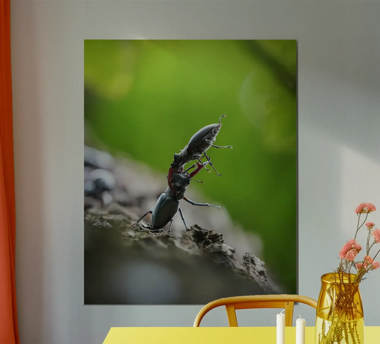 Hirschkäfer Poster von Tom's Wildlife