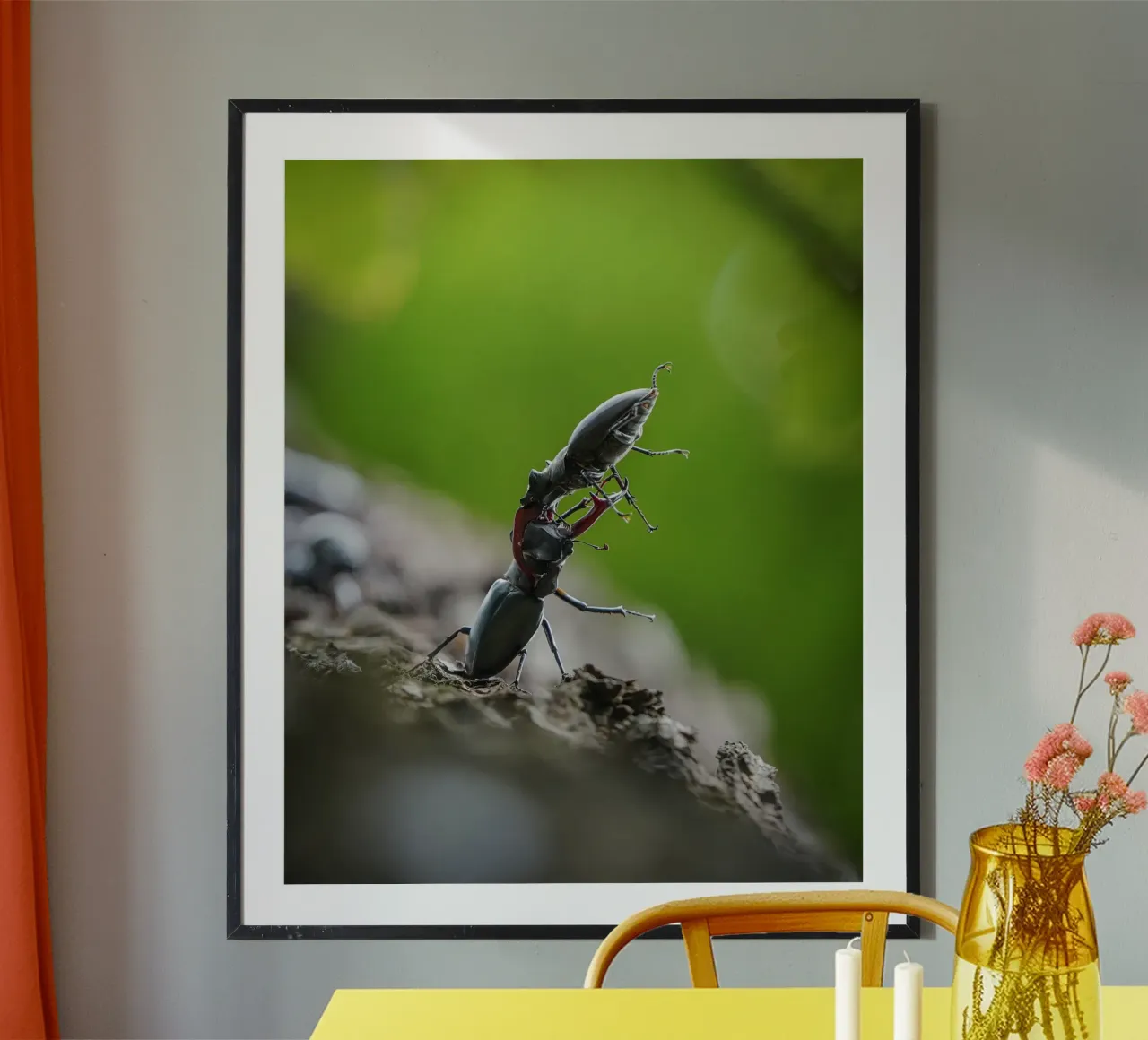 Hirschkäfer Poster von Tom's Wildlife