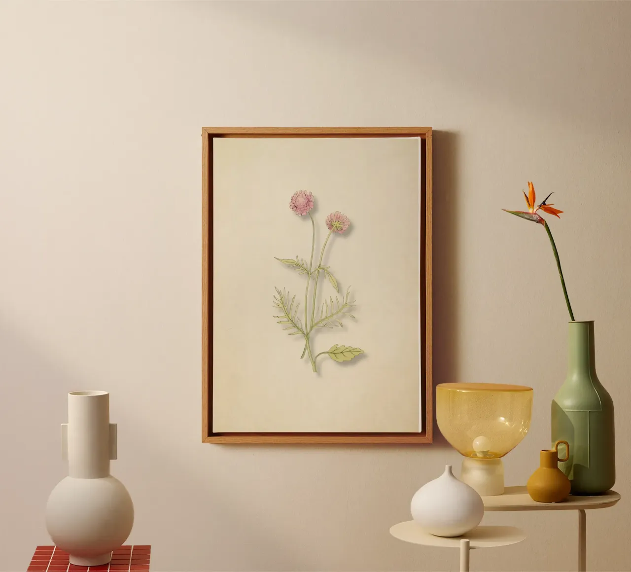 Stampa Scabiosa Columbaria - Fiore rosa vintage a puntaspilli tela con Cornice a cassetta da ClubArt