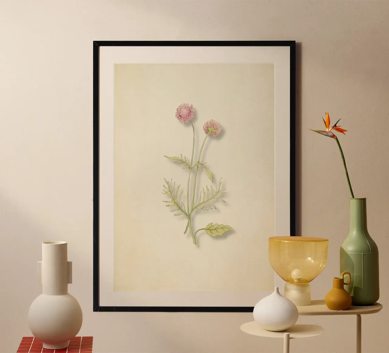 Stampa Scabiosa Columbaria - Fiore rosa vintage a puntaspilli poster con telaio in legno da ClubArt