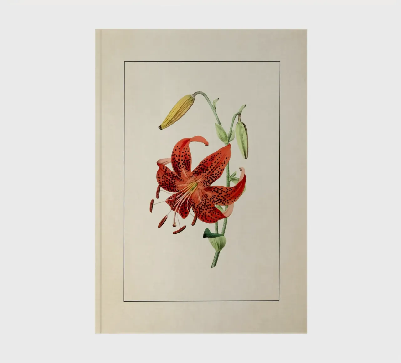 Lilium Lancifolium Print - Vintage Tiger Lily Botanical Art notebook by ClubArt