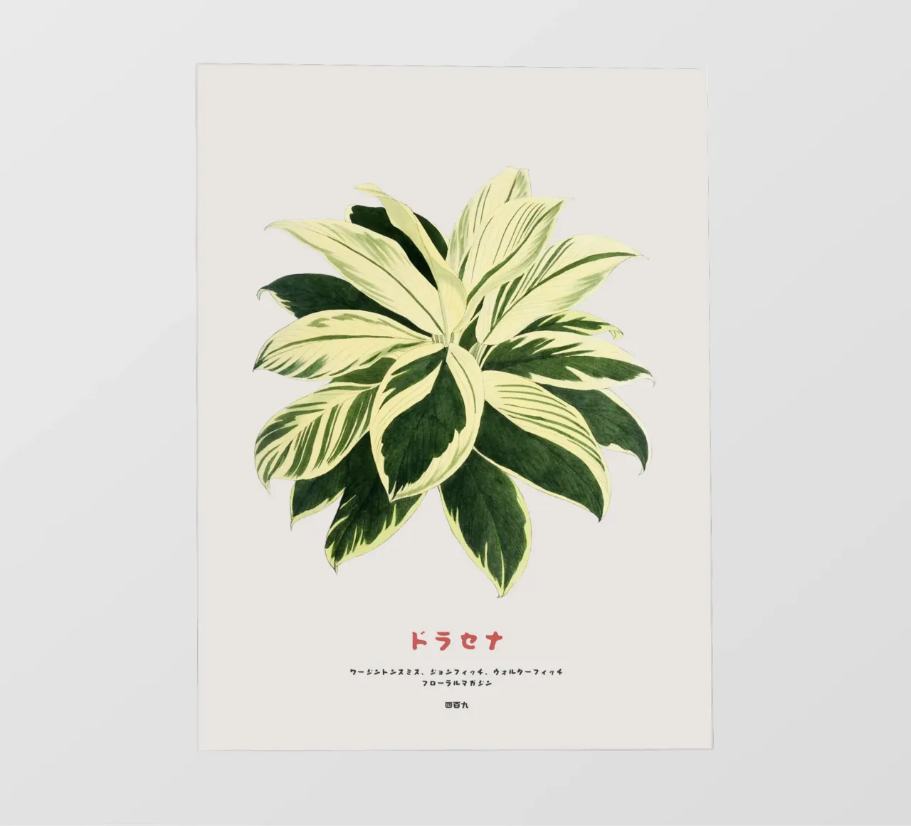 Pianta di dracena telo in pvc da Vintagrafica