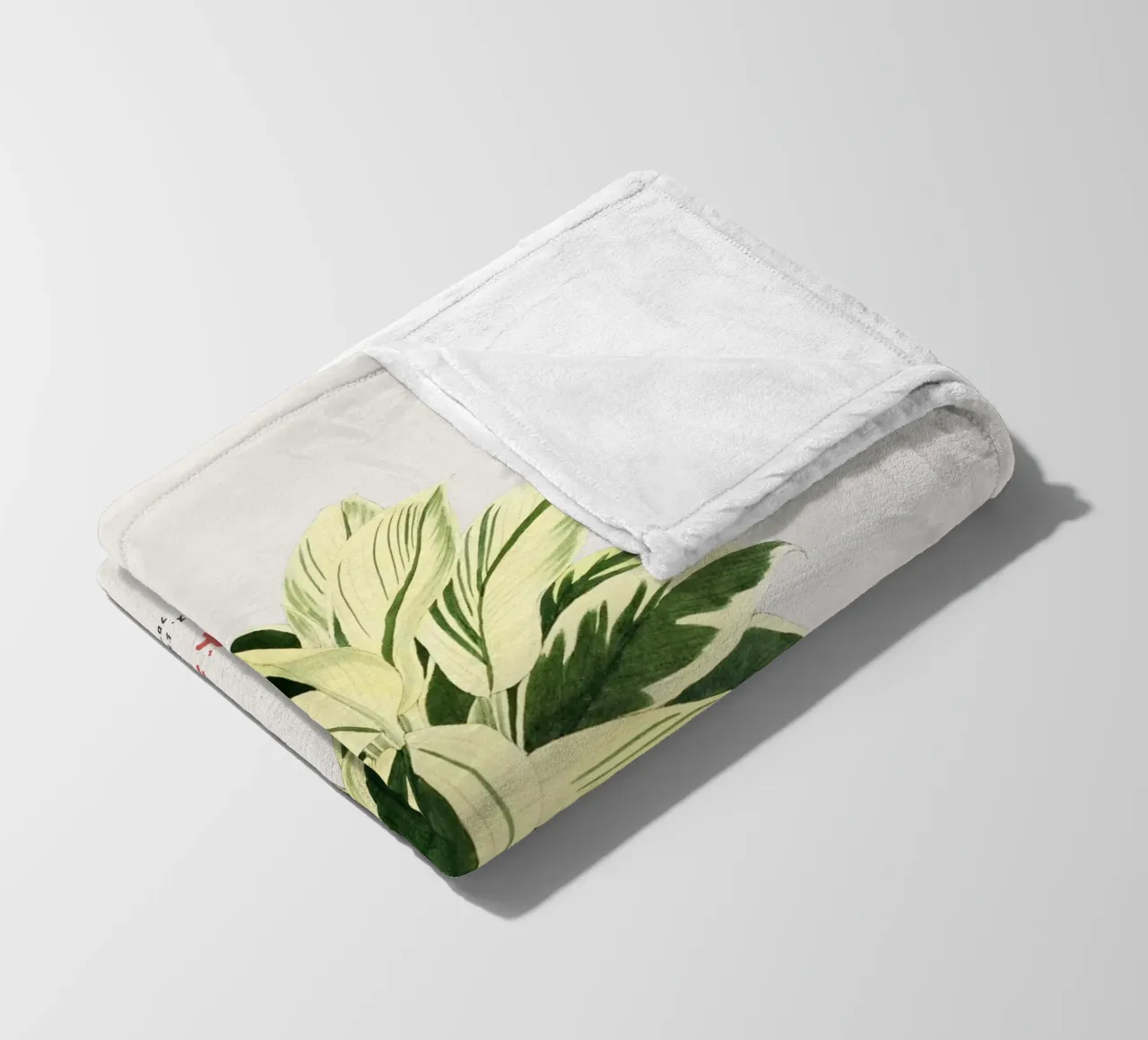 Pianta di dracena coperta in pile da Vintagrafica