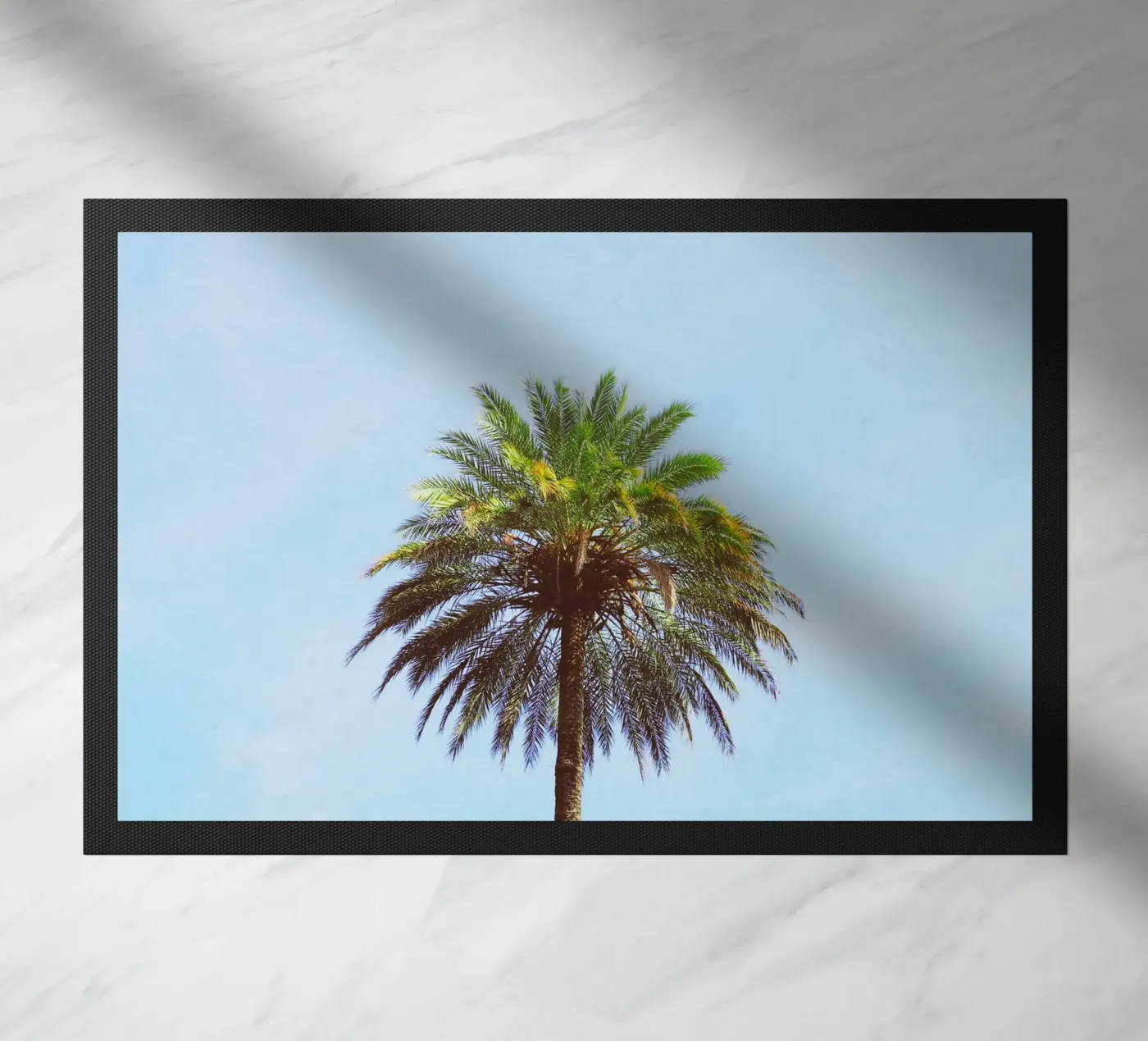 Palma zerbino da Cassia Beck Photography