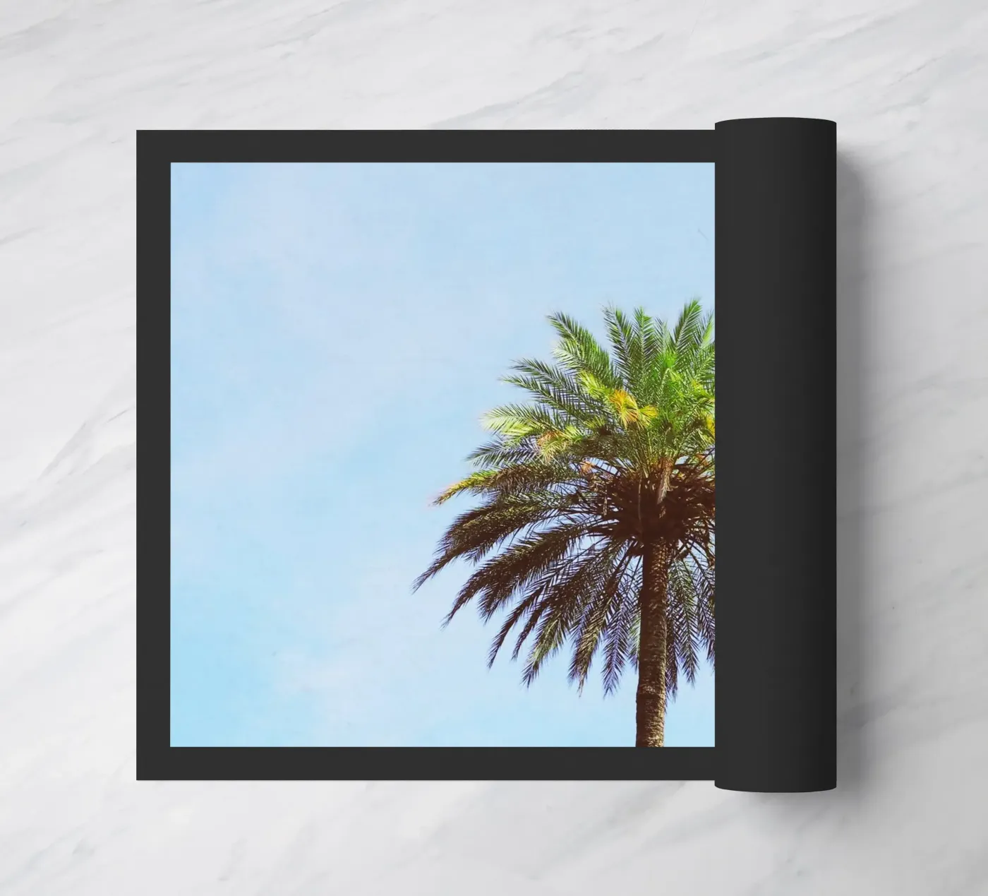 Palma zerbino da Cassia Beck Photography