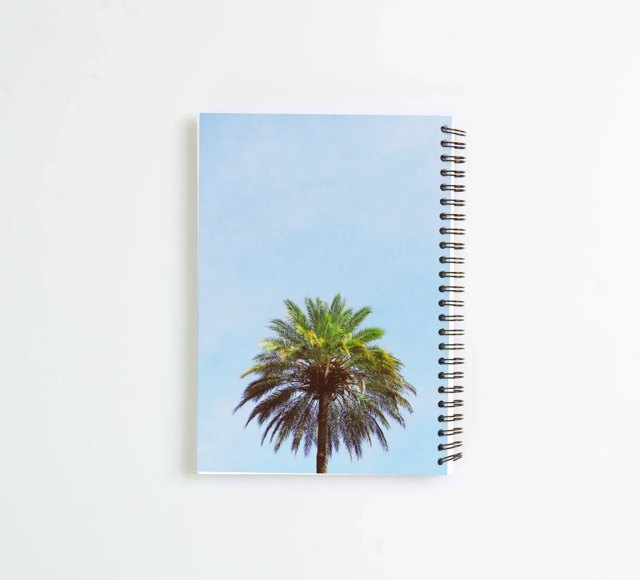 Palm Tree spiral notebook by Cassia Beck Photography
