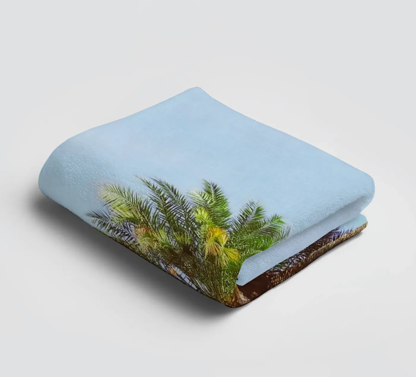 Palm Tree towel by Cassia Beck Photography