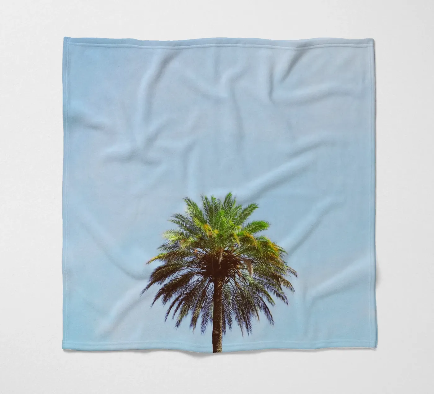 Palma coperta in pile da Cassia Beck Photography