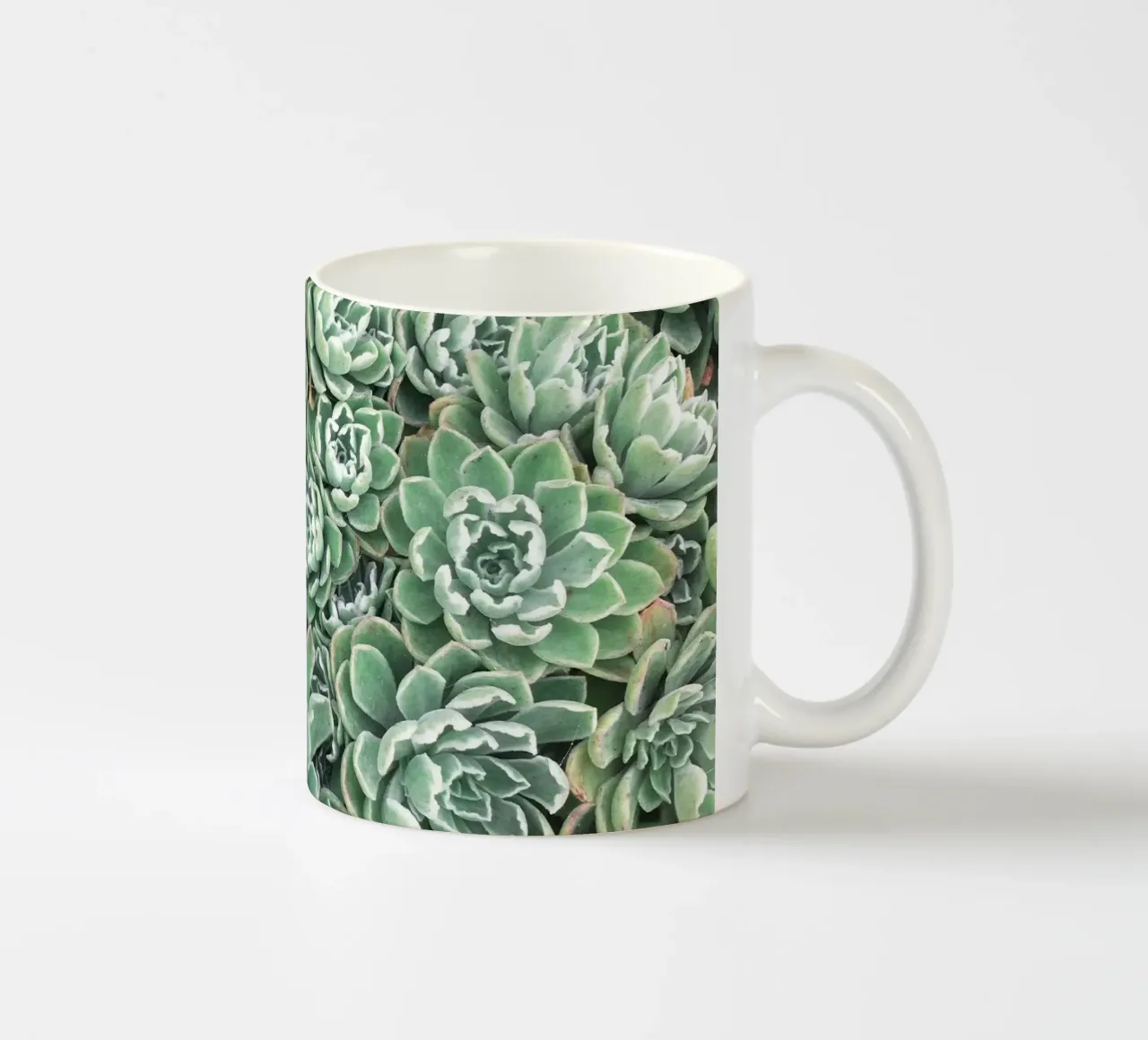 Letto succulento tazza in ceramica da Cassia Beck Photography