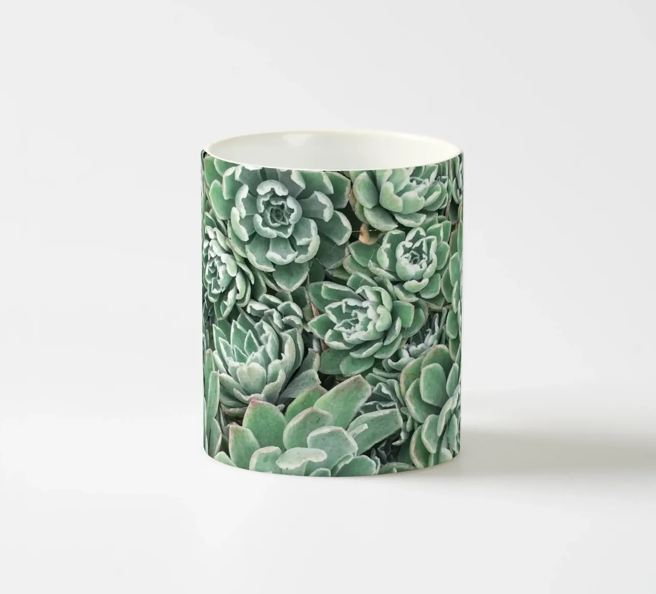 Letto succulento tazza in ceramica da Cassia Beck Photography