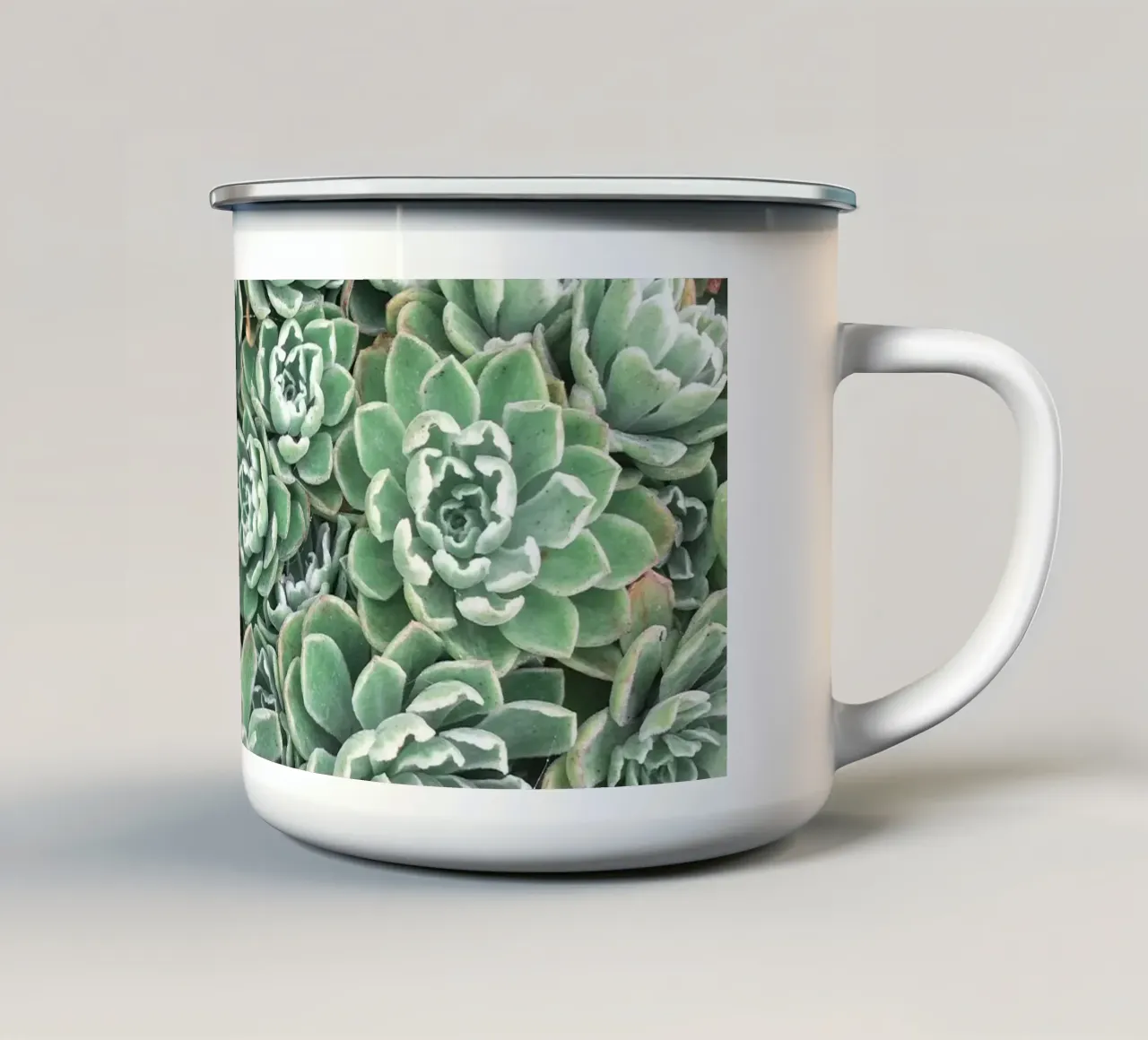 Letto succulento tazza in smalto da Cassia Beck Photography