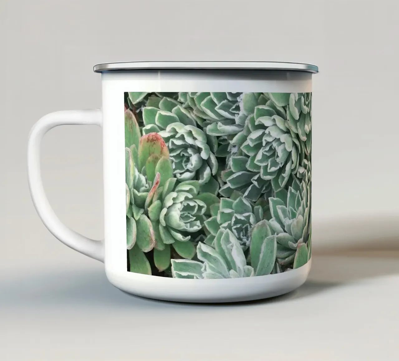 Letto succulento tazza in smalto da Cassia Beck Photography