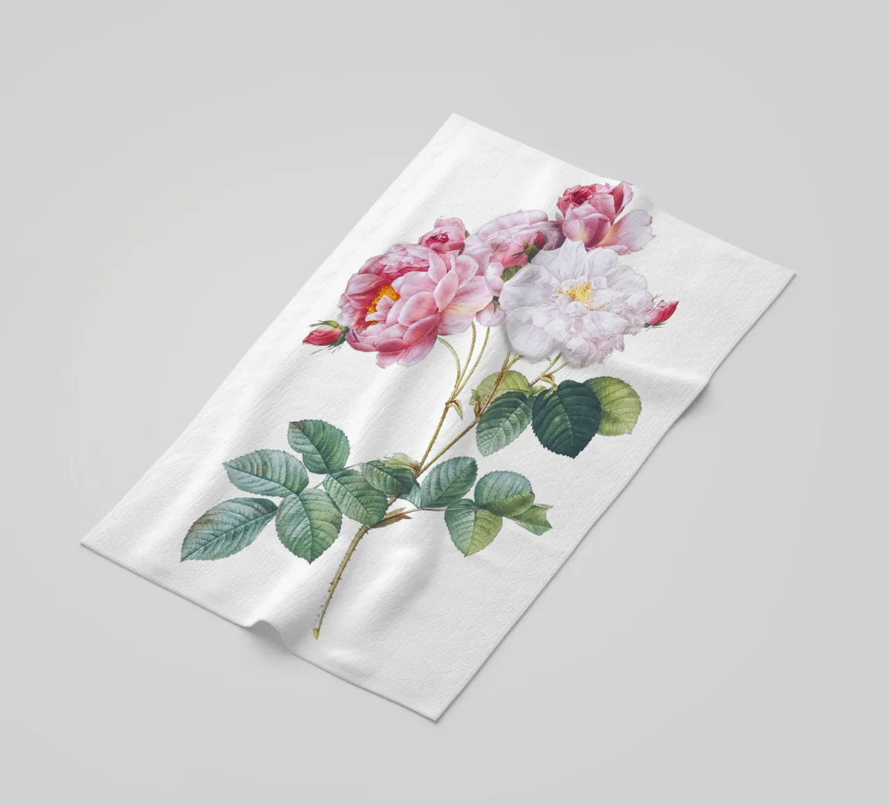 Rosa × damascena di Pierre-Joseph Redouté, telo mare da Venus Art