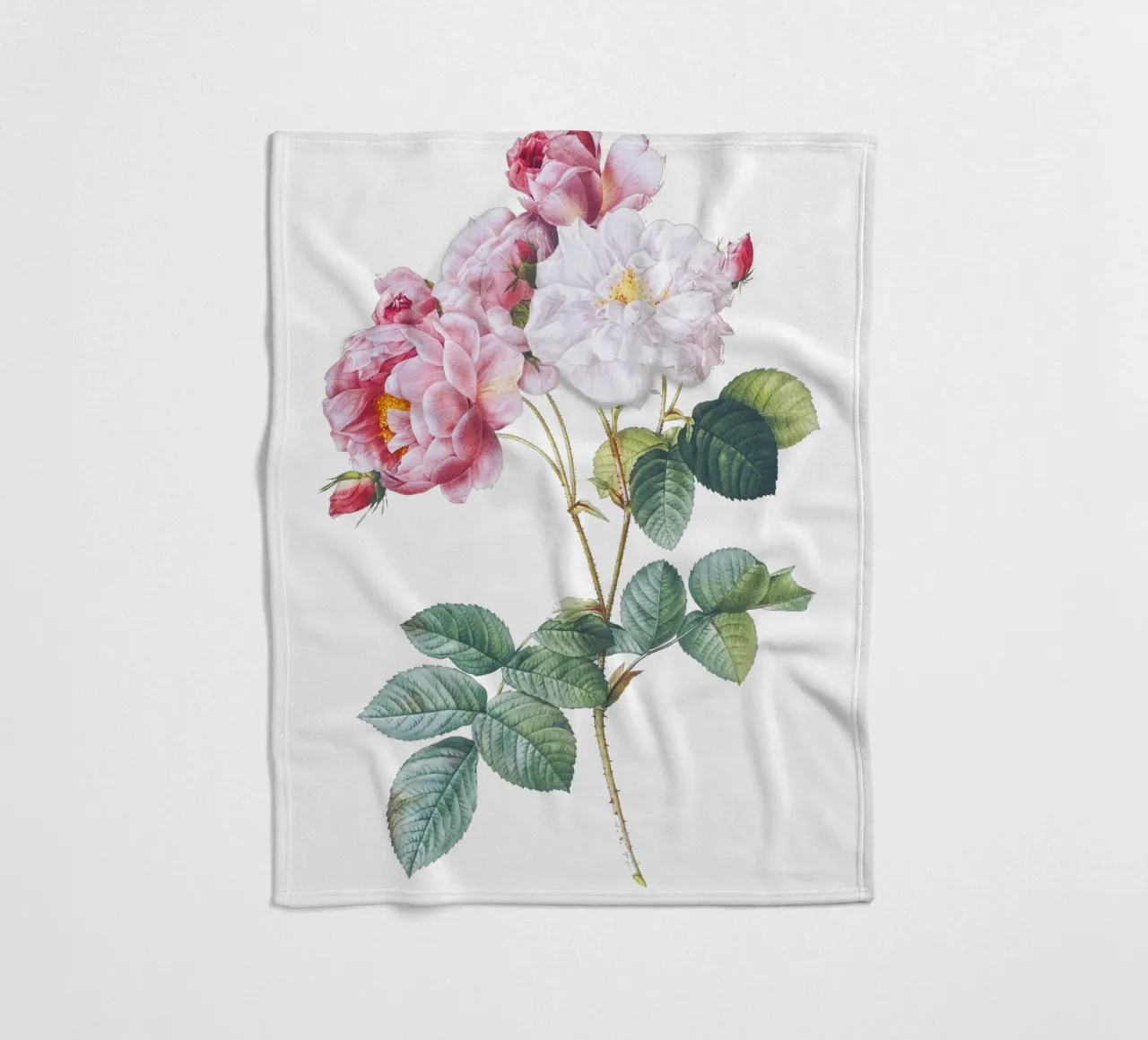 Rosa × damascena di Pierre-Joseph Redouté, coperta in pile da Venus Art