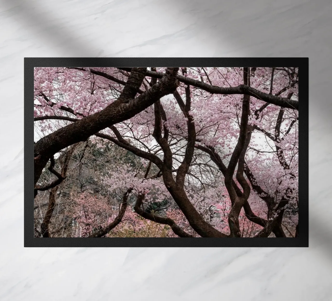 Fiori di ciliegio a Tokyo, Giappone zerbino da Marcel Bisig