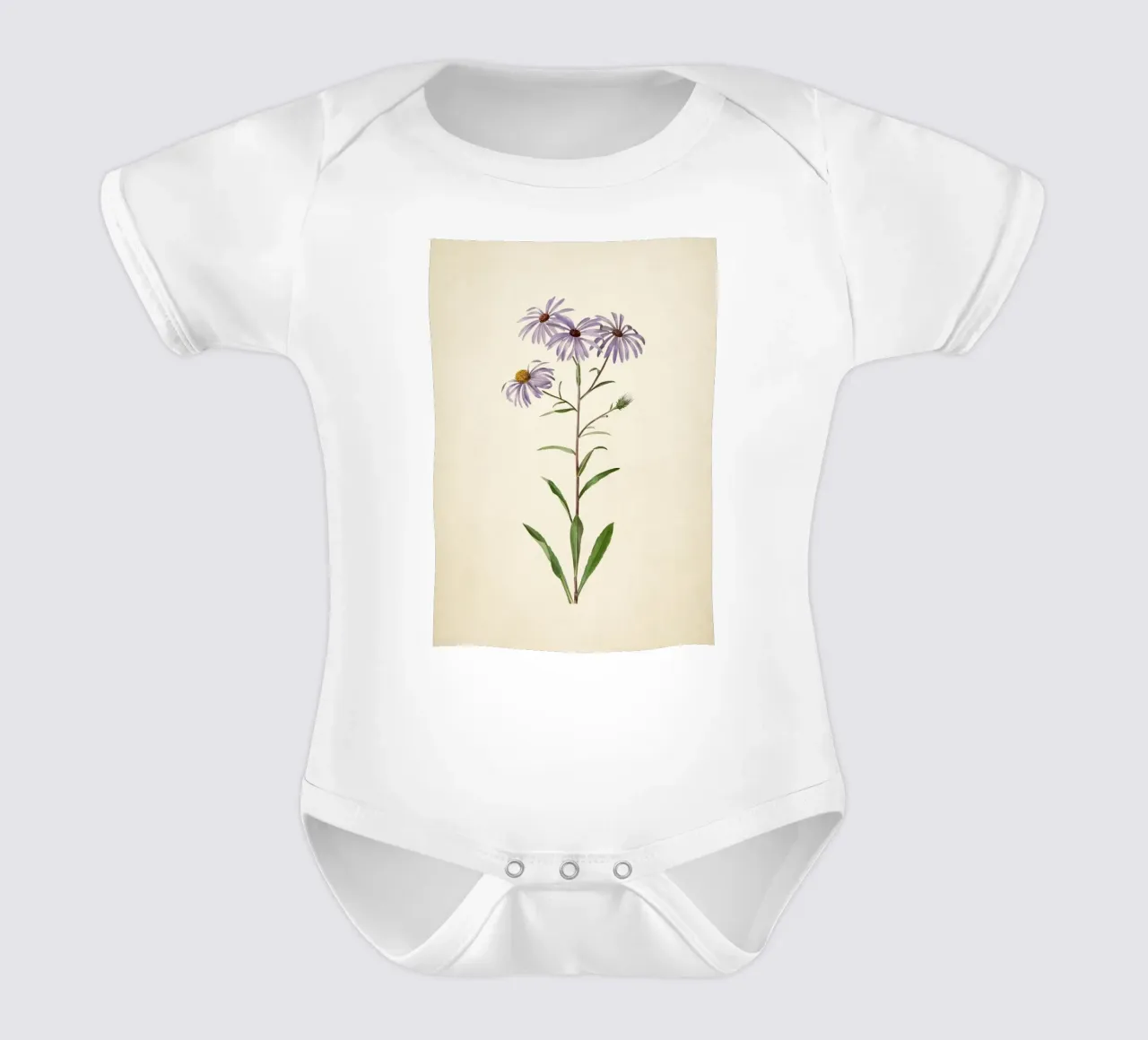 Vintage Aster Botanical Print - Purple Flower Nature Wall Ar short-sleeve baby romper by ClubArt