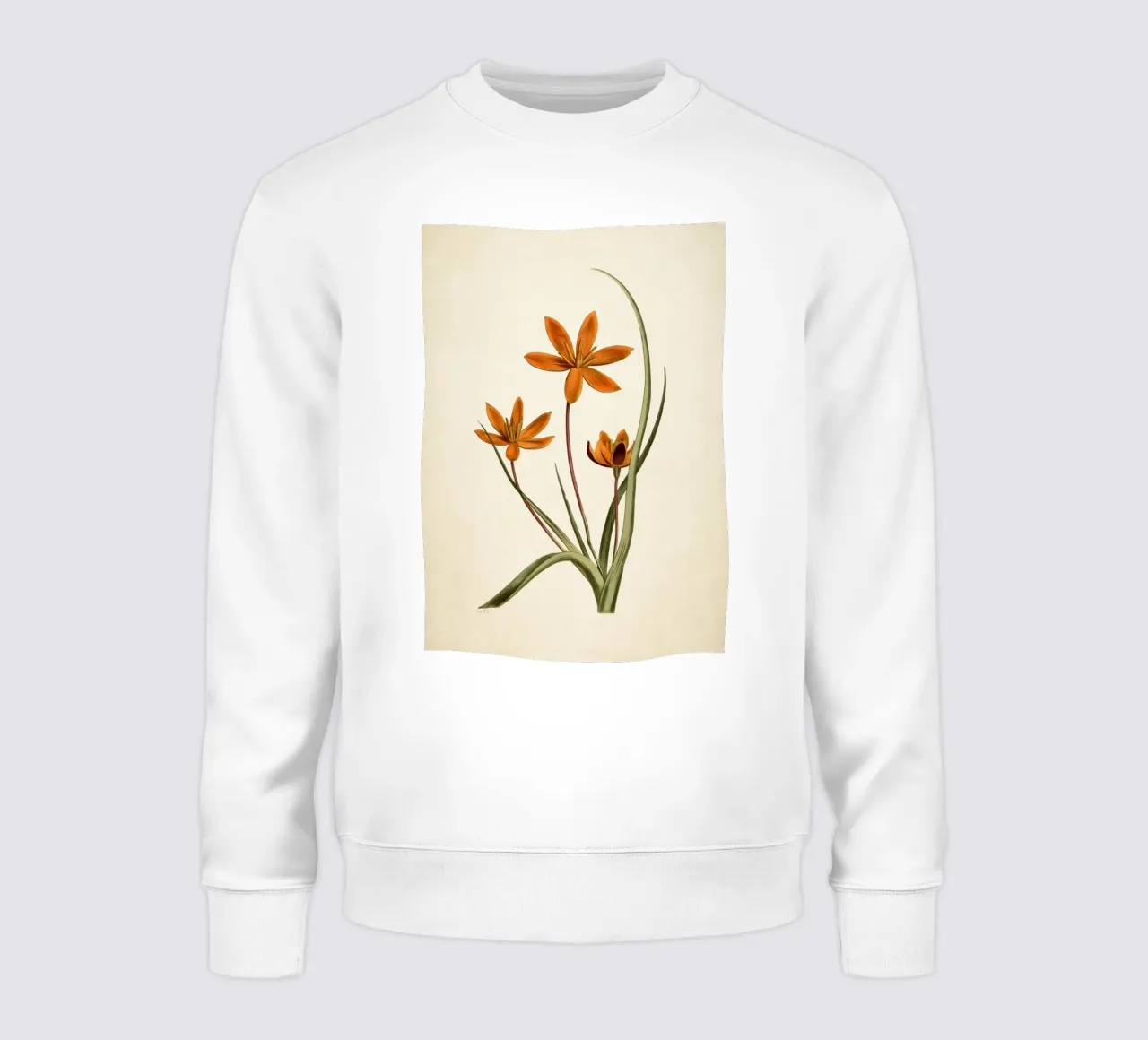 Stampa botanica arancione vintage di fiori di stella - Ar rustico floreale felpa da ClubArt