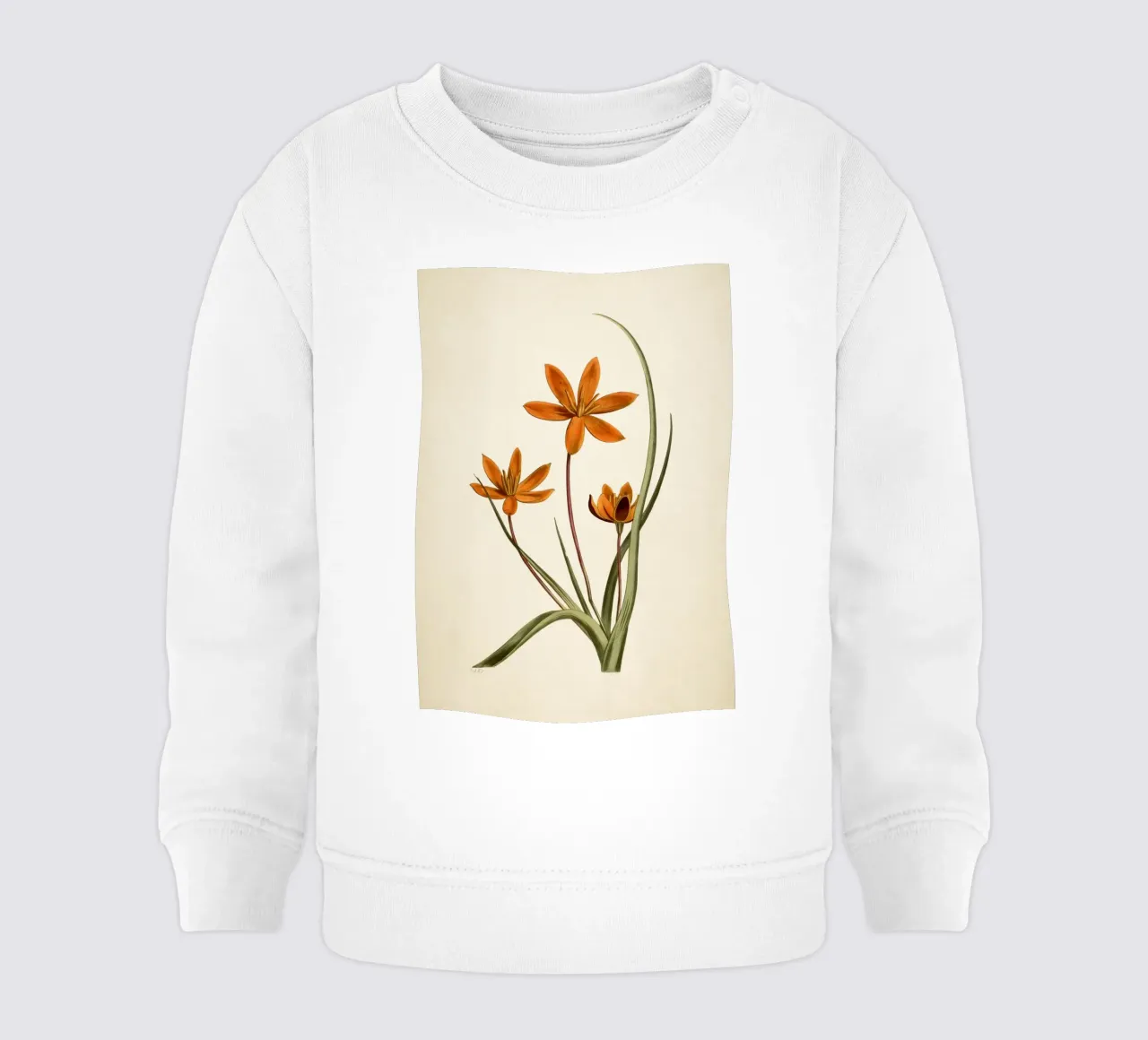 Stampa botanica arancione vintage di fiori di stella - Ar rustico floreale felpa neonato da ClubArt