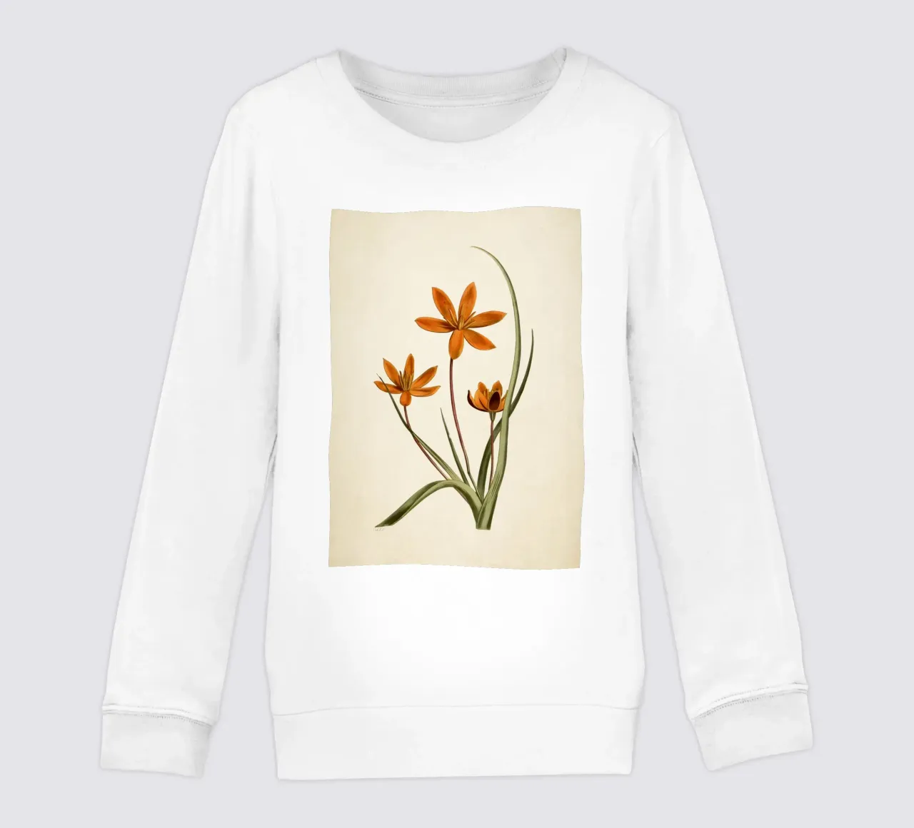 Stampa botanica arancione vintage di fiori di stella - Ar rustico floreale felpa bambino da ClubArt