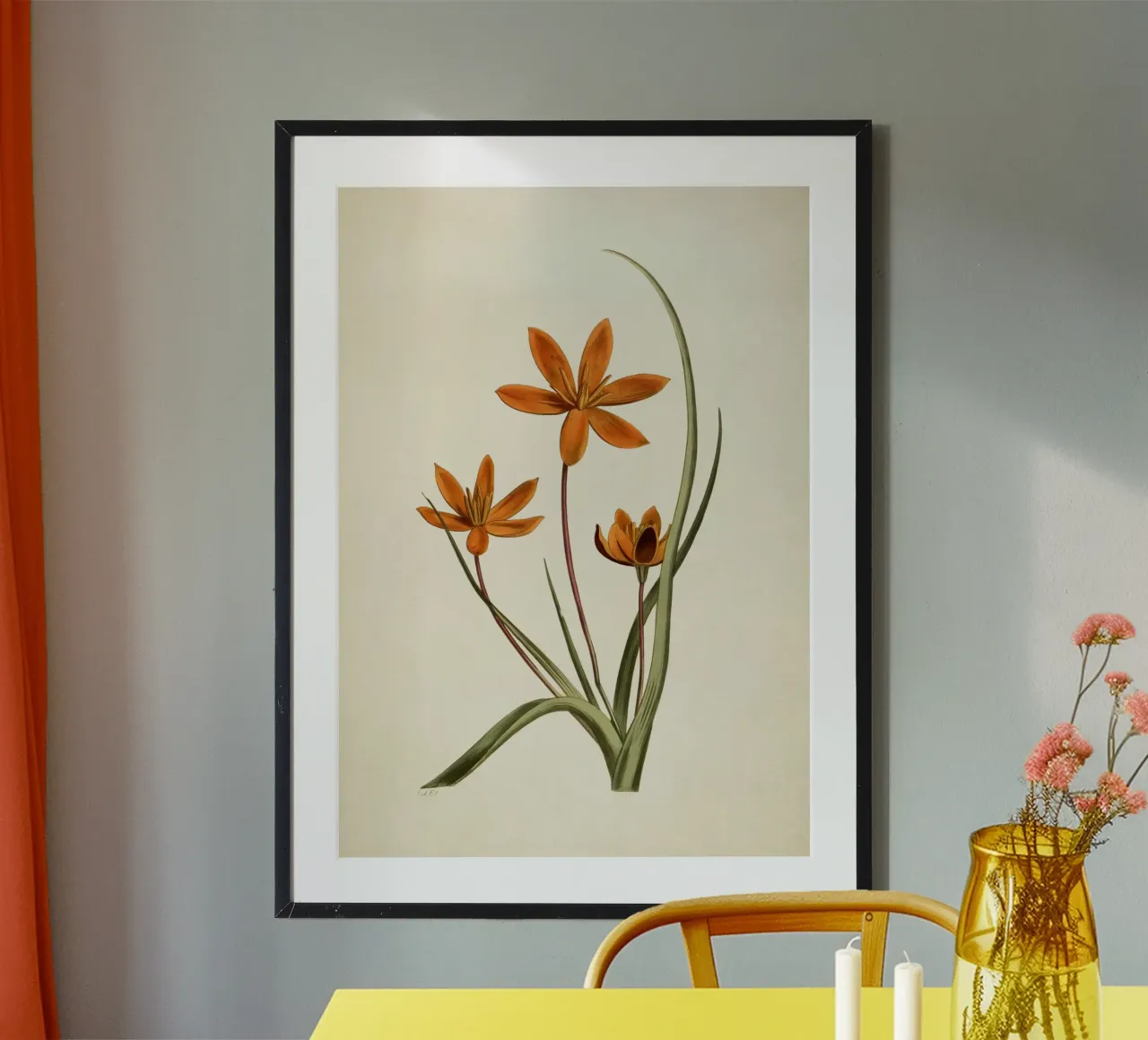 Stampa botanica arancione vintage di fiori di stella - Ar rustico floreale poster da ClubArt