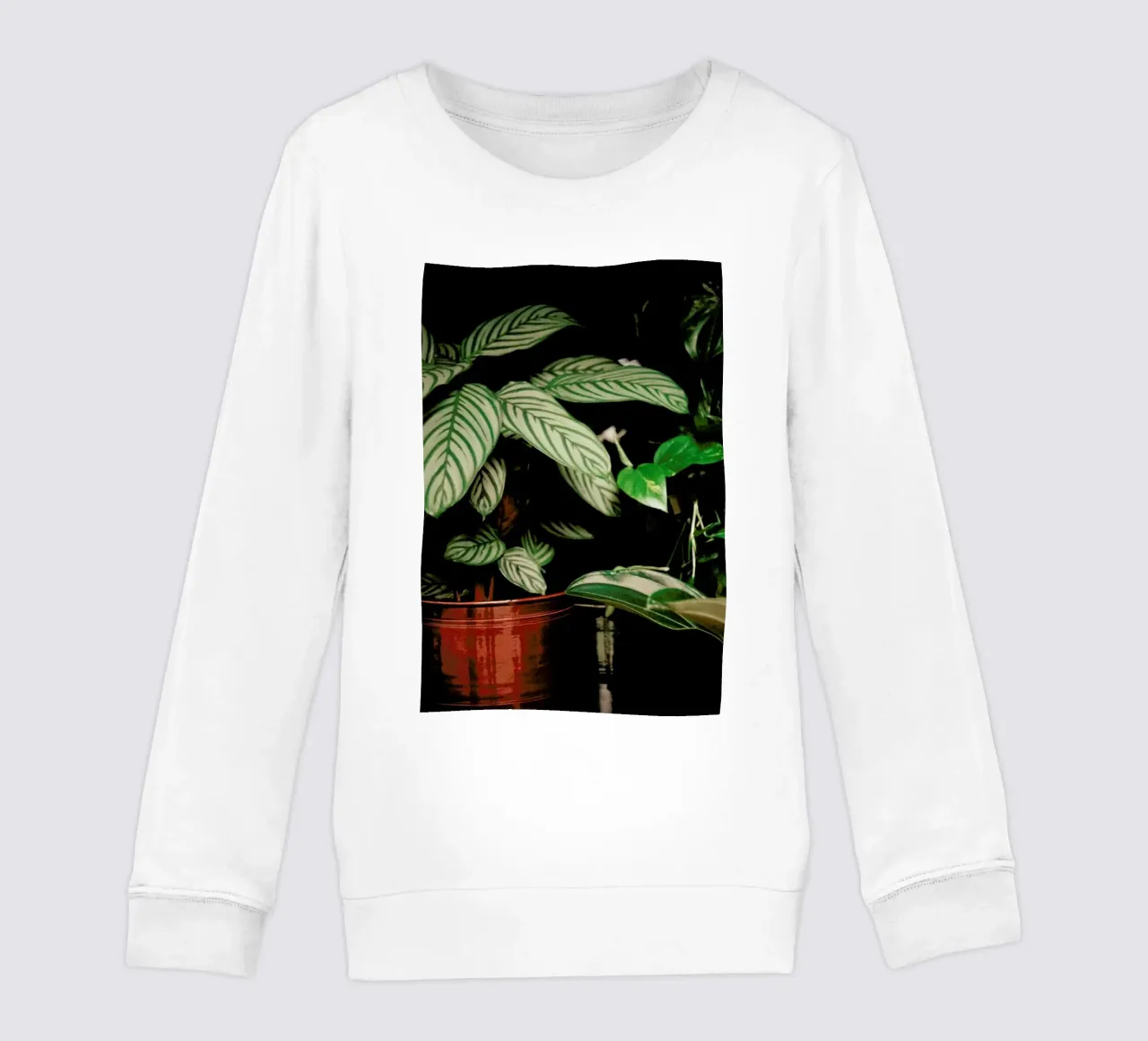 Analog Series The Plant Shop felpa bambino da Sebastian Hilgetag