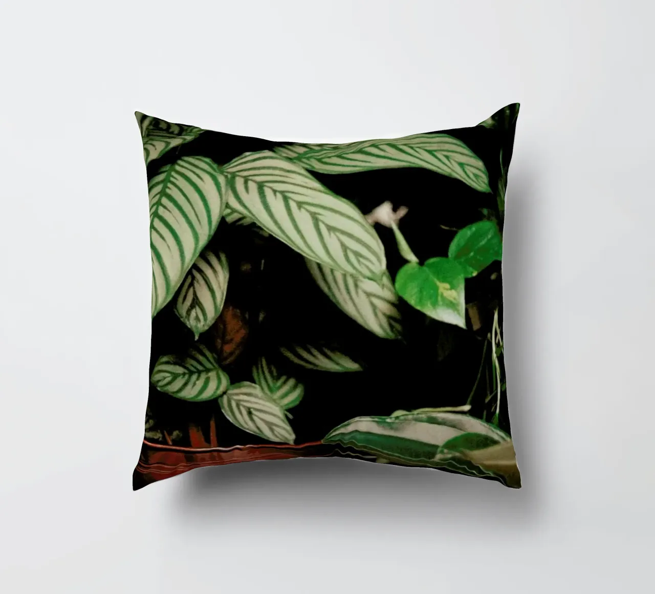 Analog Series The Plant Shop cuscino da Sebastian Hilgetag