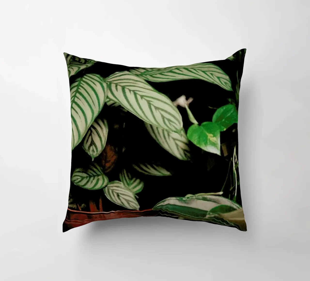Analog Series The Plant Shop cuscino da Sebastian Hilgetag