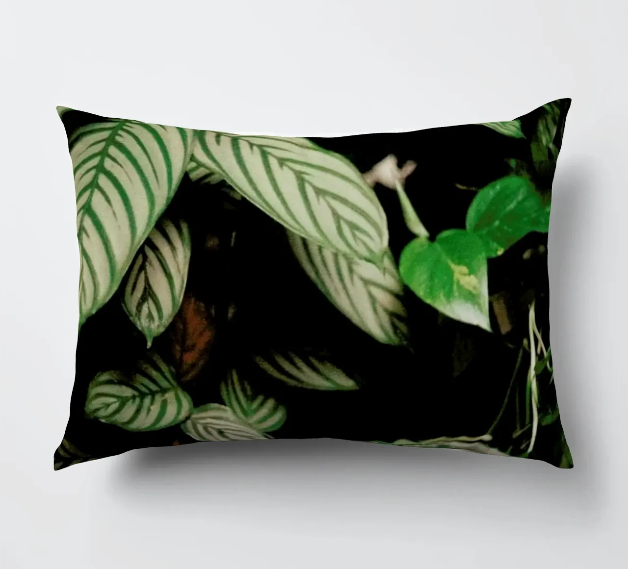 Analog Series The Plant Shop cuscino da Sebastian Hilgetag
