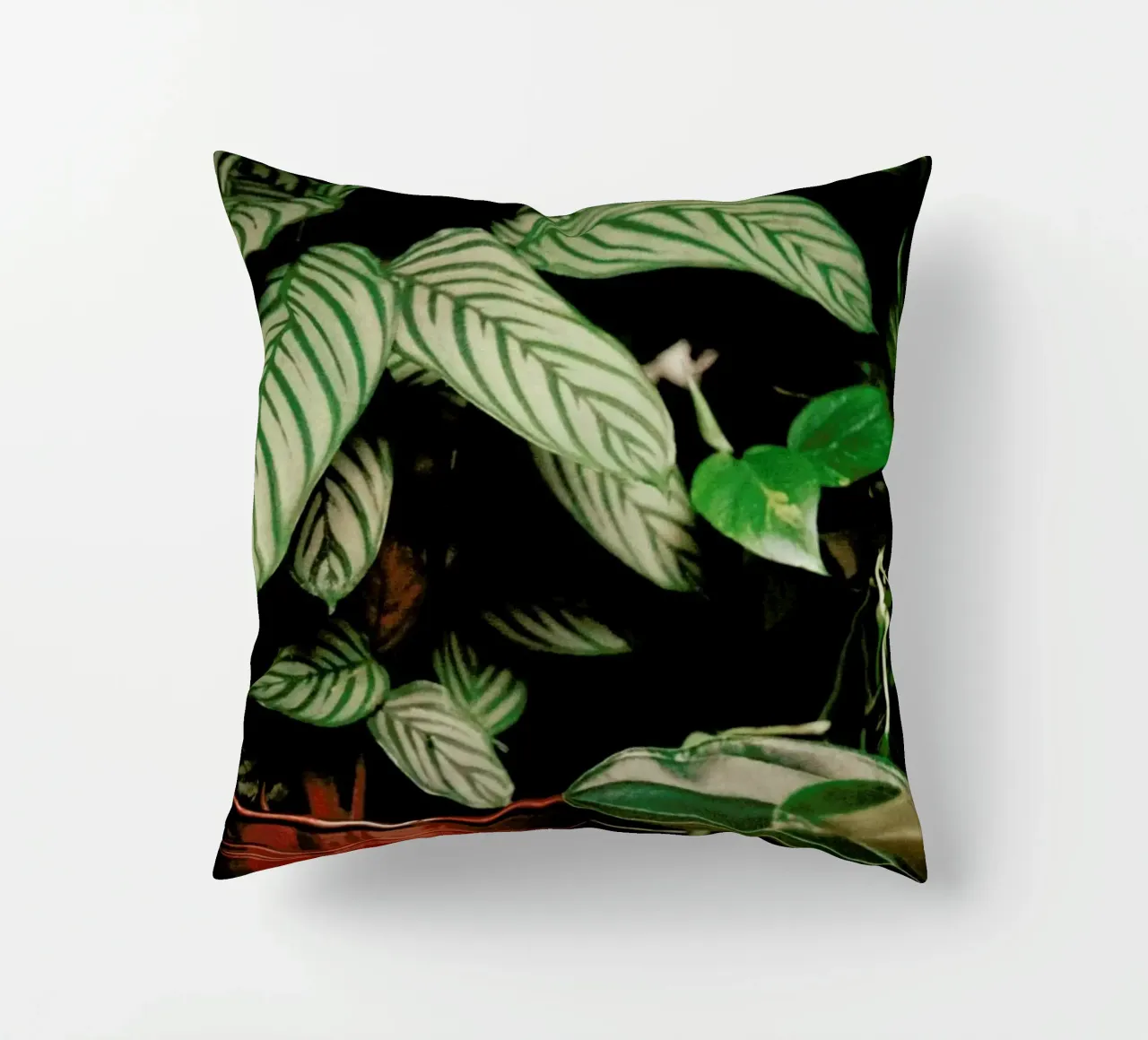 Analog Series The Plant Shop cuscino da Sebastian Hilgetag