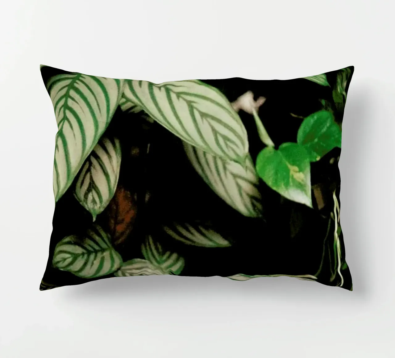 Analog Series The Plant Shop cuscino da Sebastian Hilgetag