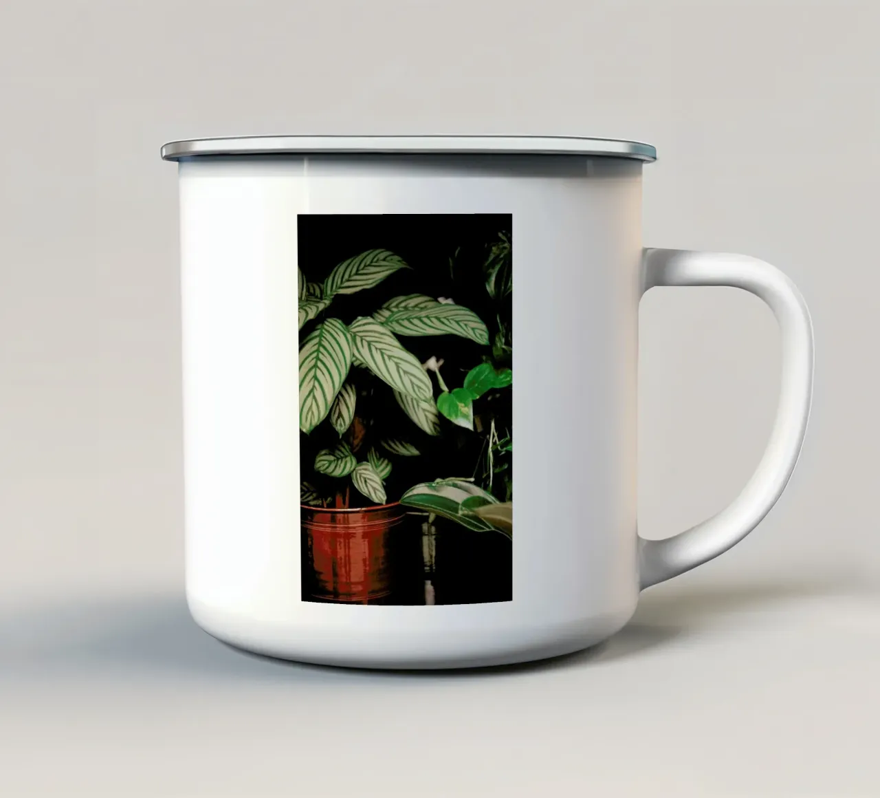 Analog Series The Plant Shop tazza in smalto da Sebastian Hilgetag