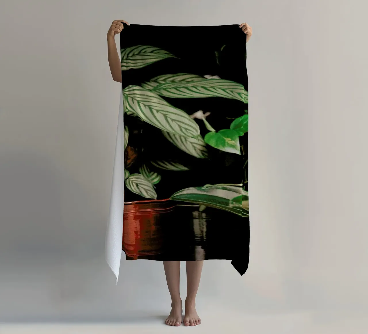 Analog Series The Plant Shop telo mare da Sebastian Hilgetag