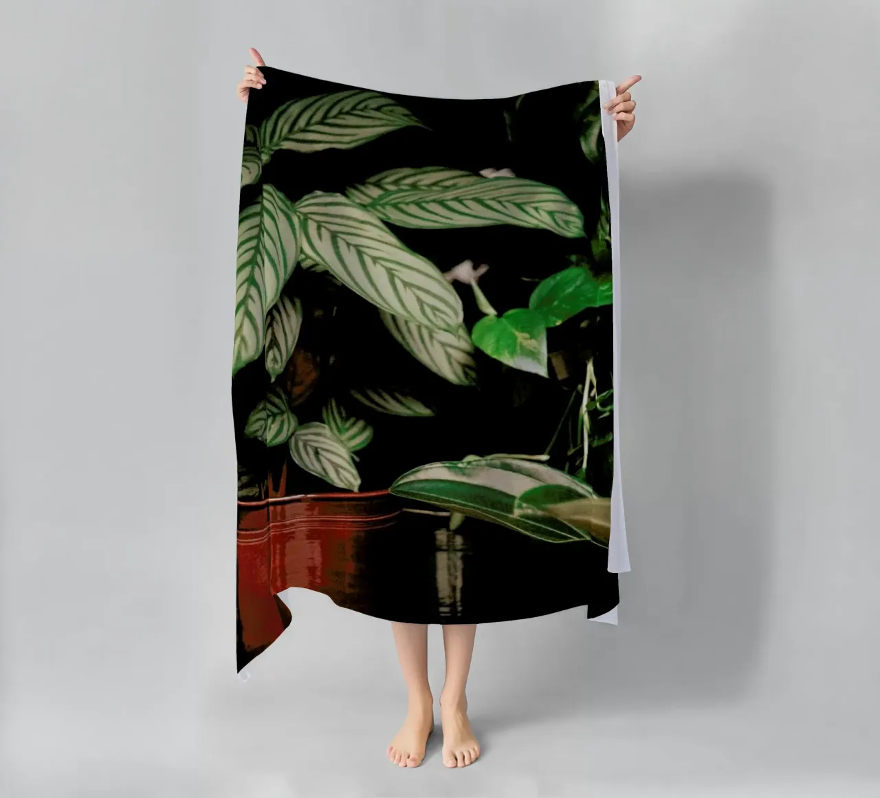 Analog Series The Plant Shop telo mare da Sebastian Hilgetag