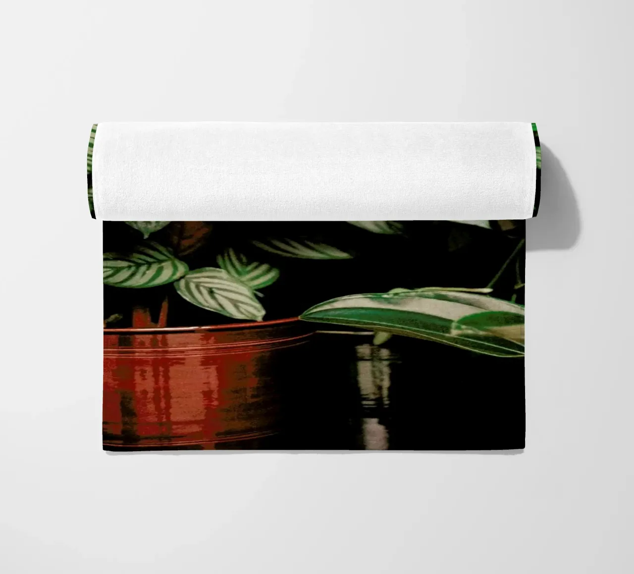 Analog Series The Plant Shop telo mare da Sebastian Hilgetag
