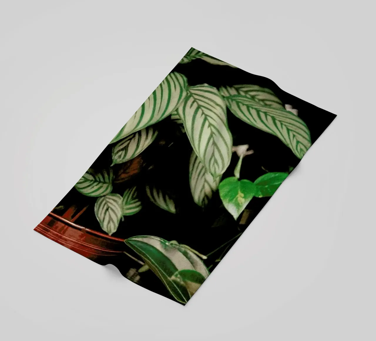Analog Series The Plant Shop telo mare da Sebastian Hilgetag