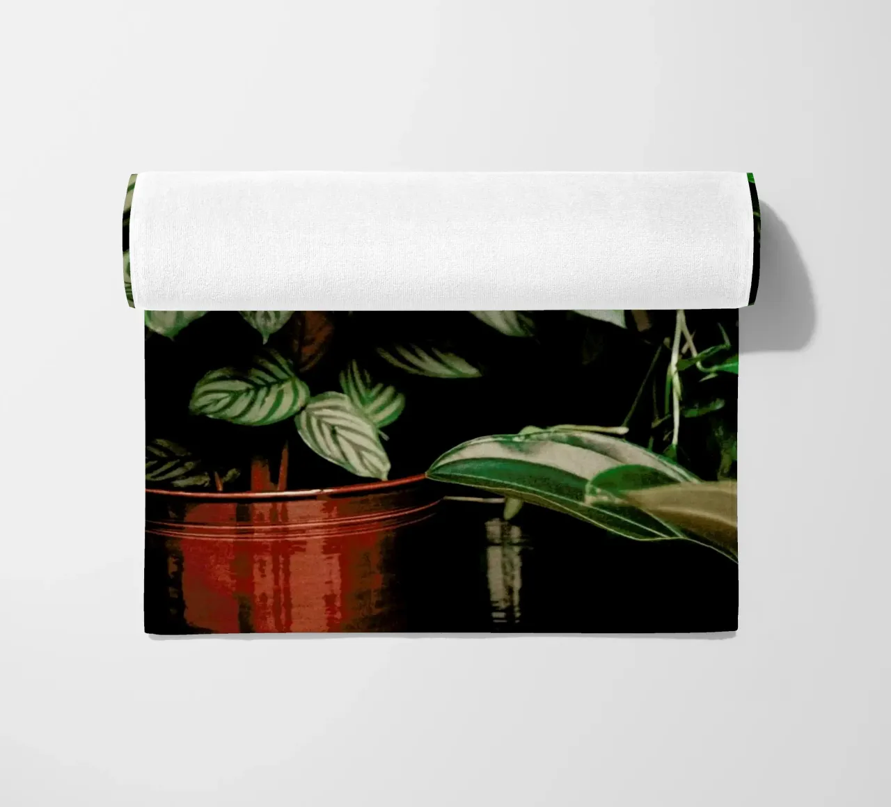 Analog Series The Plant Shop telo mare da Sebastian Hilgetag