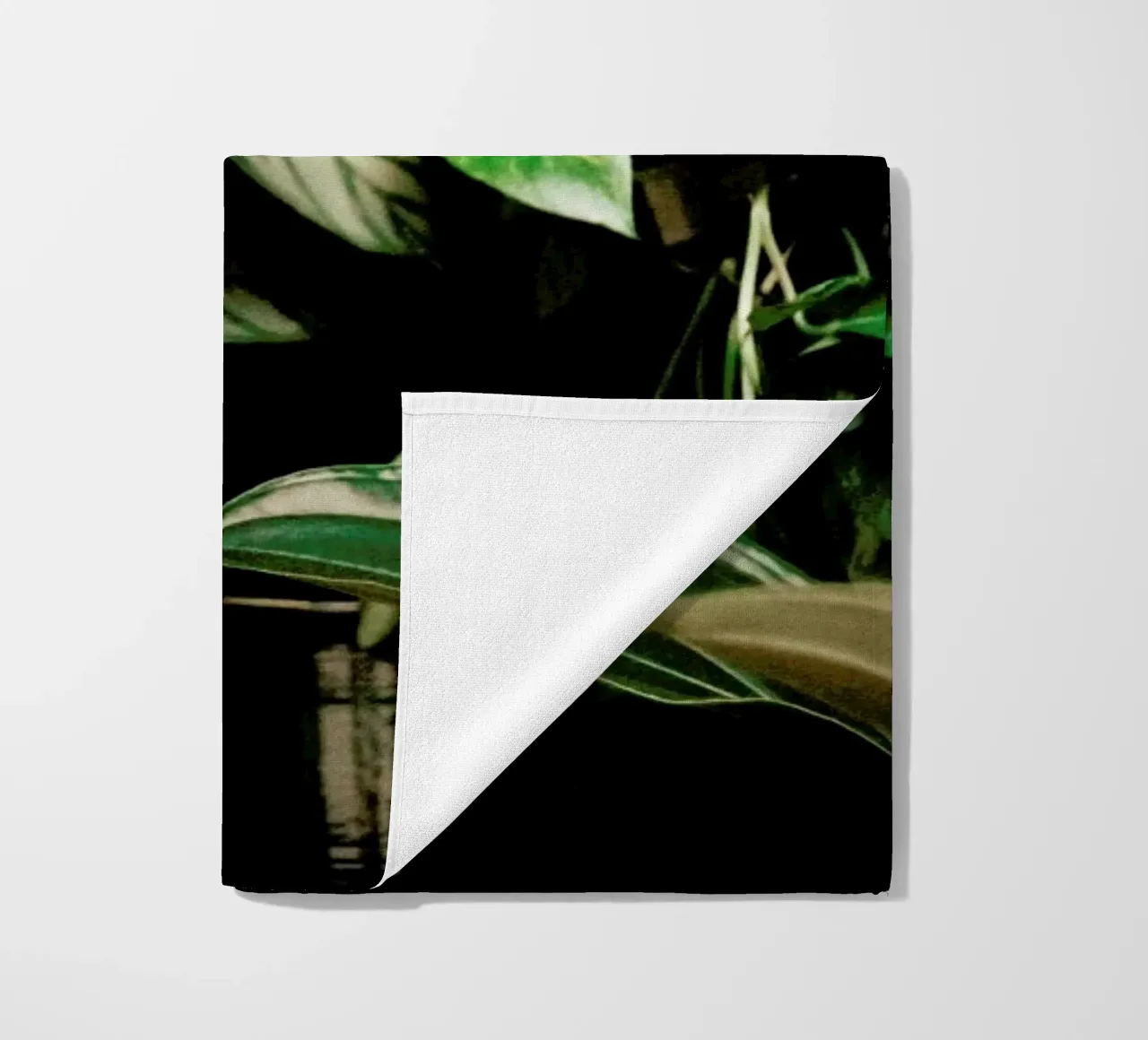 Analog Series The Plant Shop telo mare da Sebastian Hilgetag